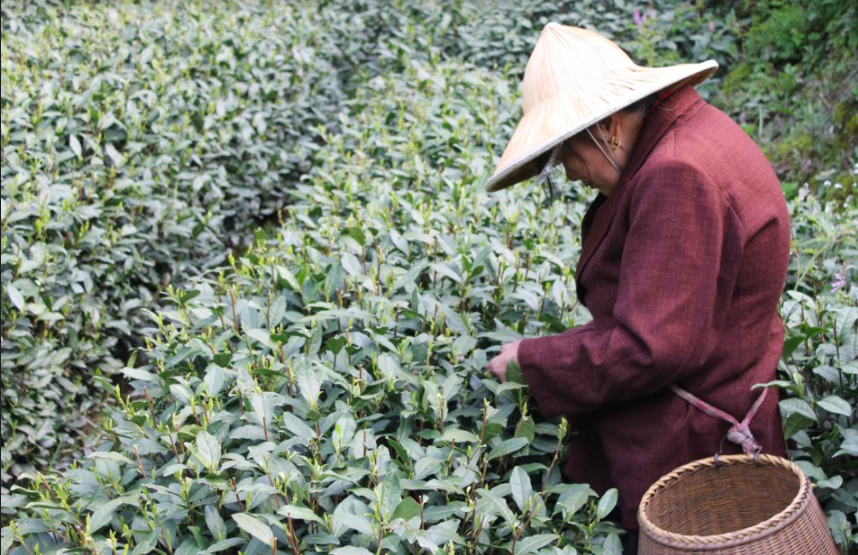 Screen Shot 2020-07-18 at 6.18.04 PM.png