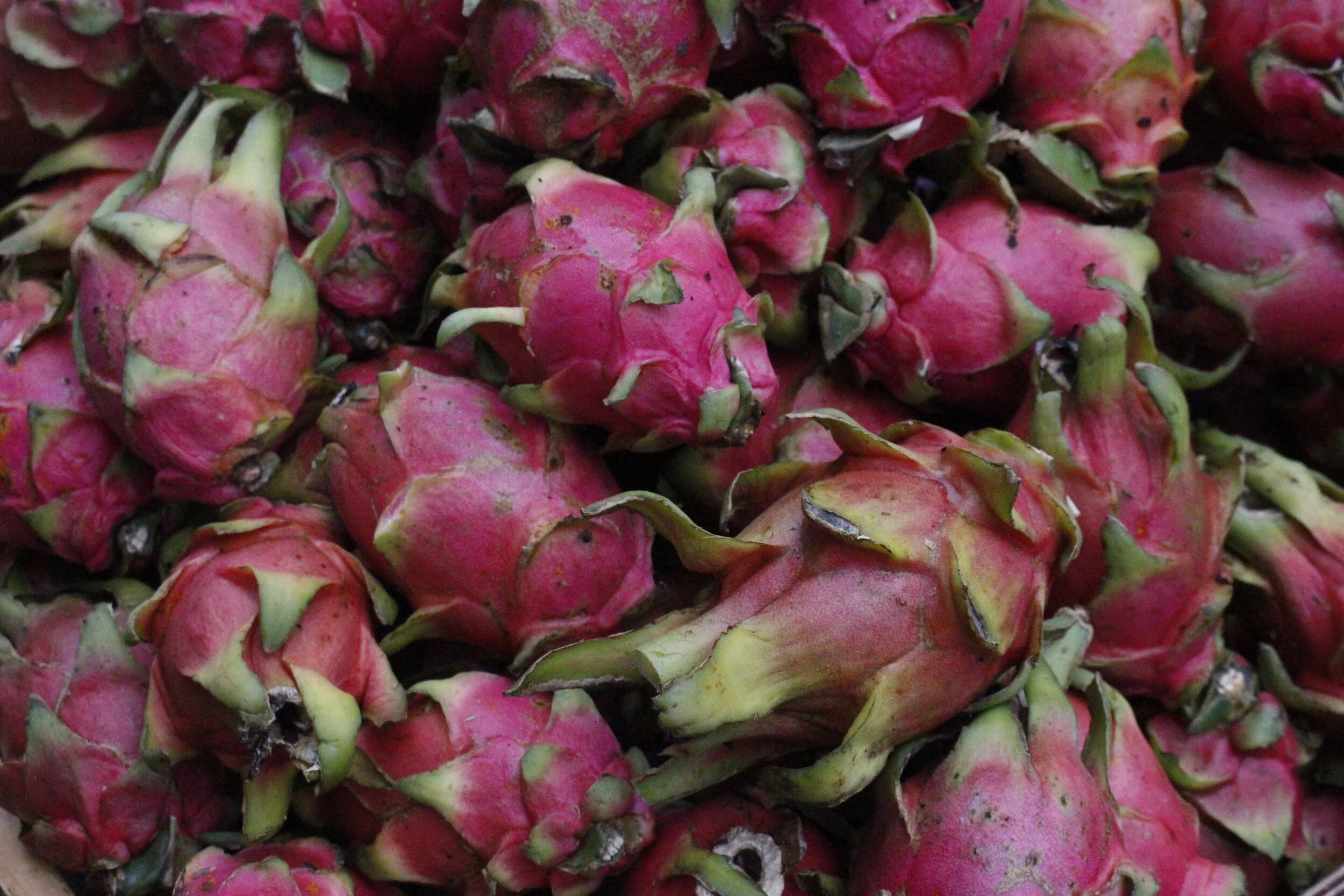 Copy of _MG_0393 (2).JPG