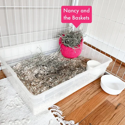 Can You Put Cat Litter in a Bunny Cage? Safe or Risky?