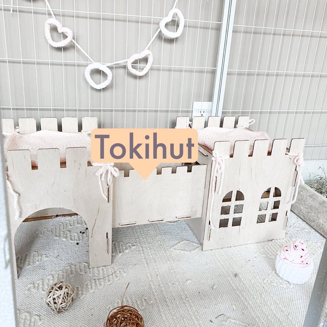 Tokihut Rabbit Castle