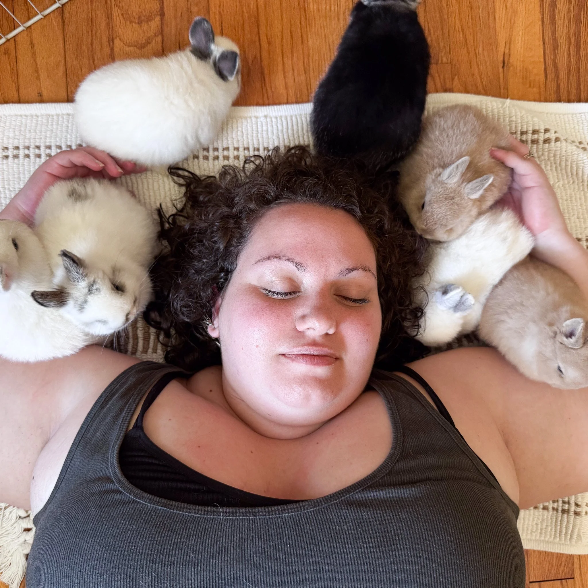 Restore on the Floor - with Bunnies
