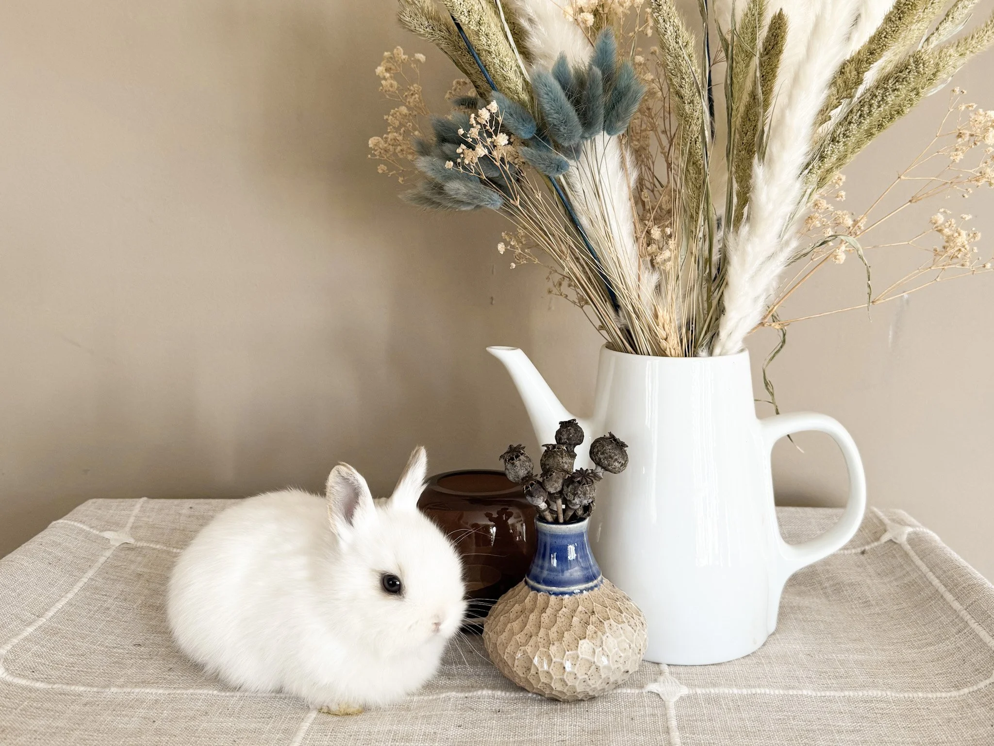 A white bunny resting on a beige tablecloth next to a small ceramic vase with dried flowers, a brown jar, and a large white ceramic pitcher filled with dried flowers.