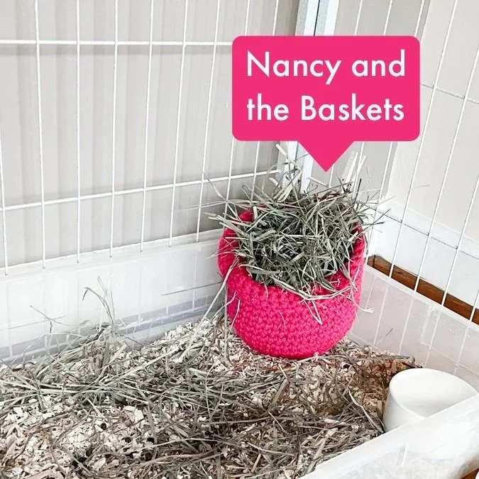 A cage with a pink knitted basket filled with hay, surrounded by more hay on the floor. There is a white water dish in the cage. A pink speech bubble with white text says 'Nancy and the Baskets'.