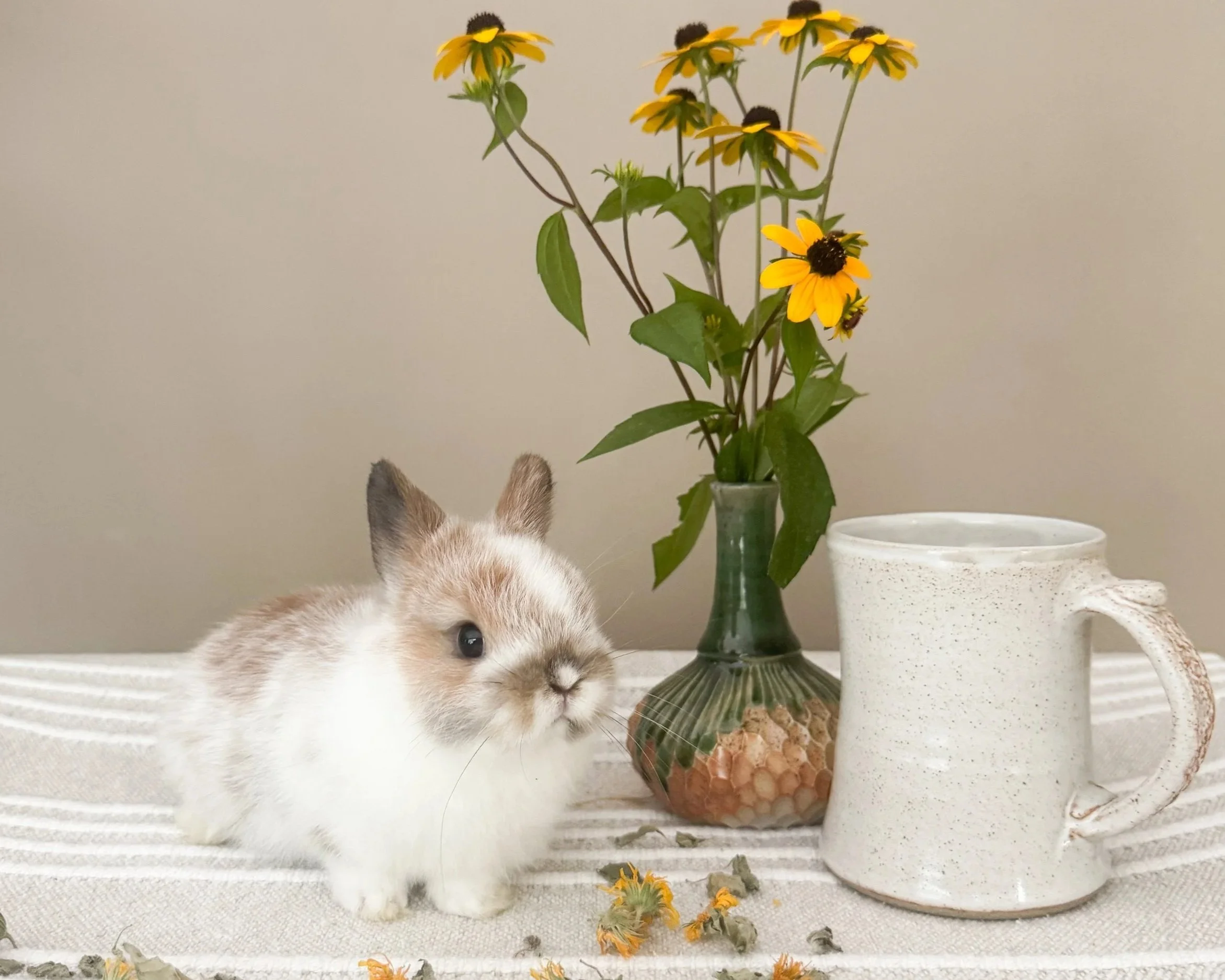 A small, fluffy bunny with light brown and white fur sitting on a white textured surface next to a vase of yellow flowers and a white ceramic mug.