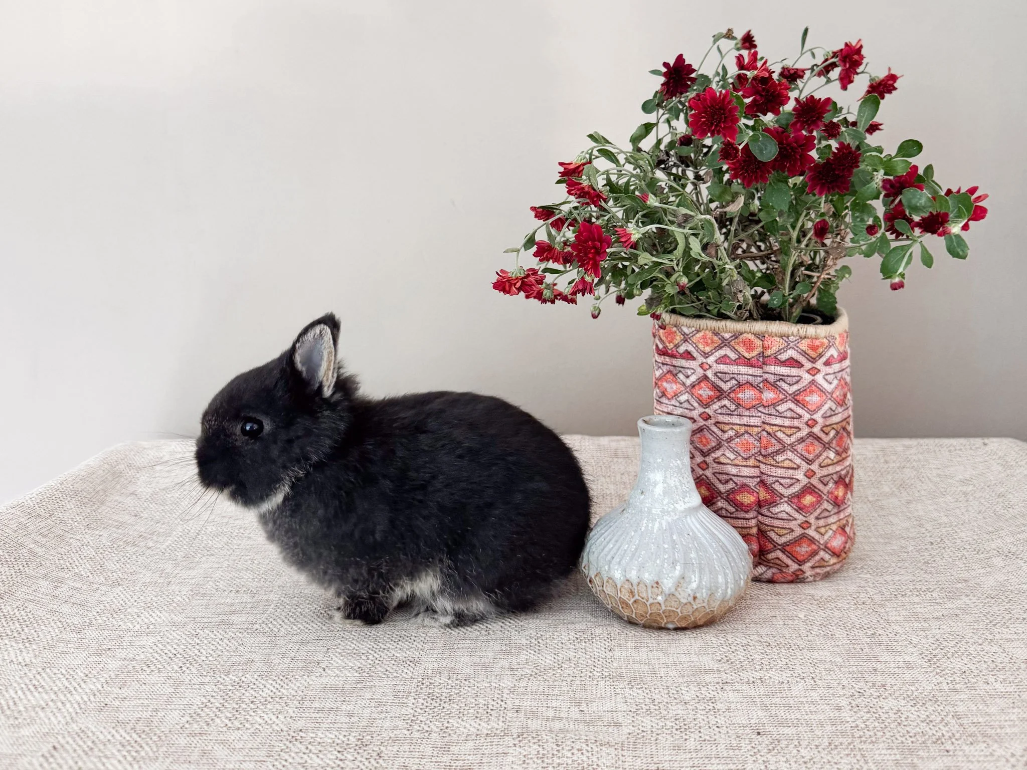 A black and white bunny lying on a beige textured surface with a large decorative flower vase and a smaller white vase beside it, against a plain light-colored wall.