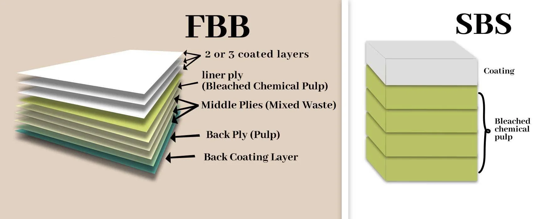 Folding Box Board: Everything you need to know — Paxert LLP