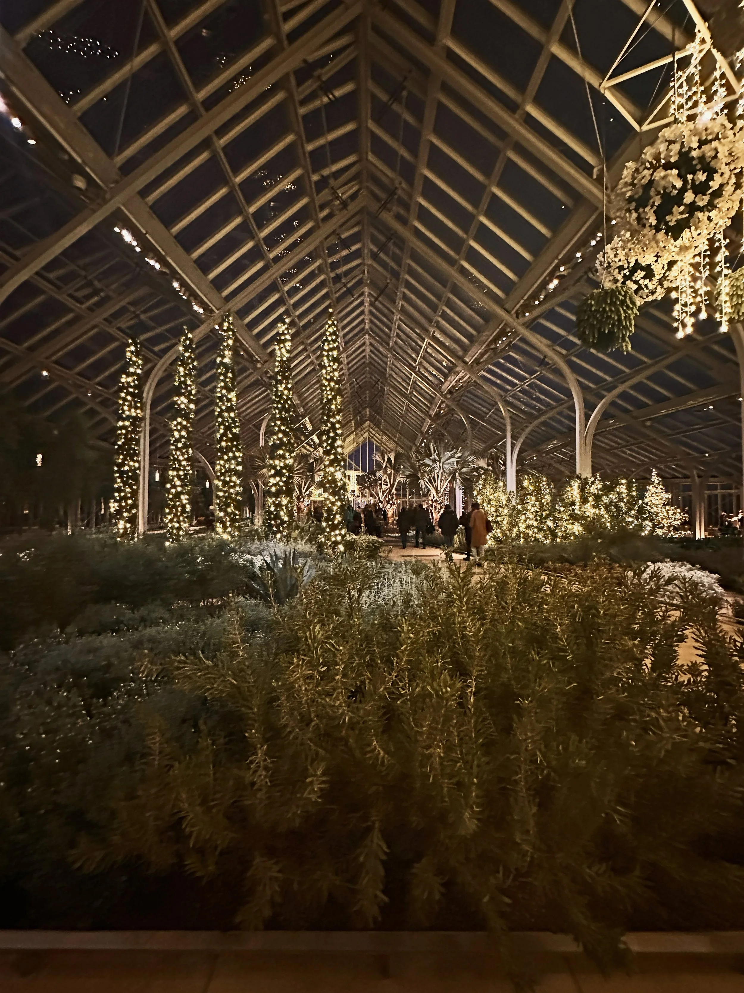 20241217_001417210_iOS_edited njy.jpg