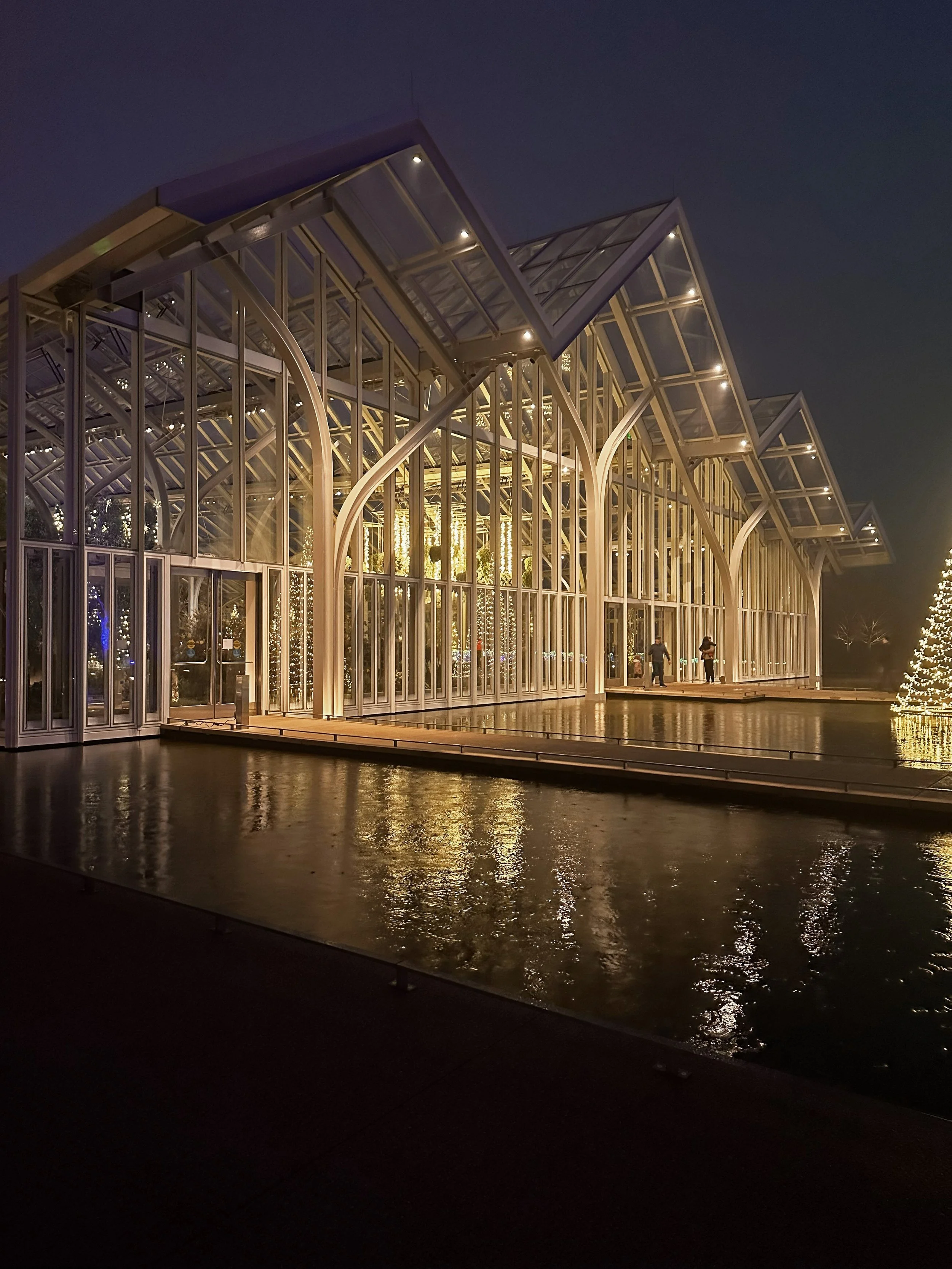 20241217_001057860_iOS_edited njy.jpg