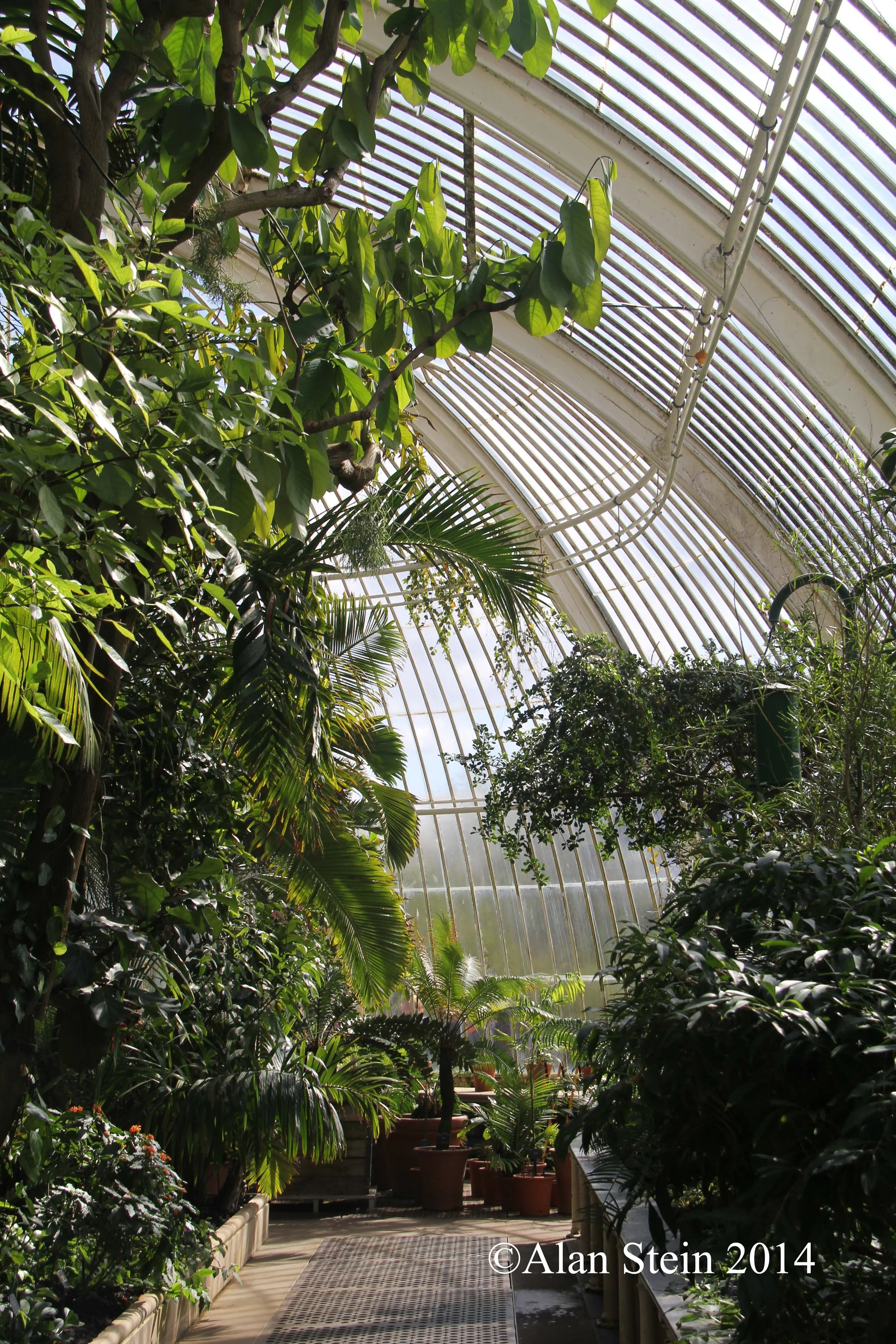 _ int IMG_2452_copyright.jpg