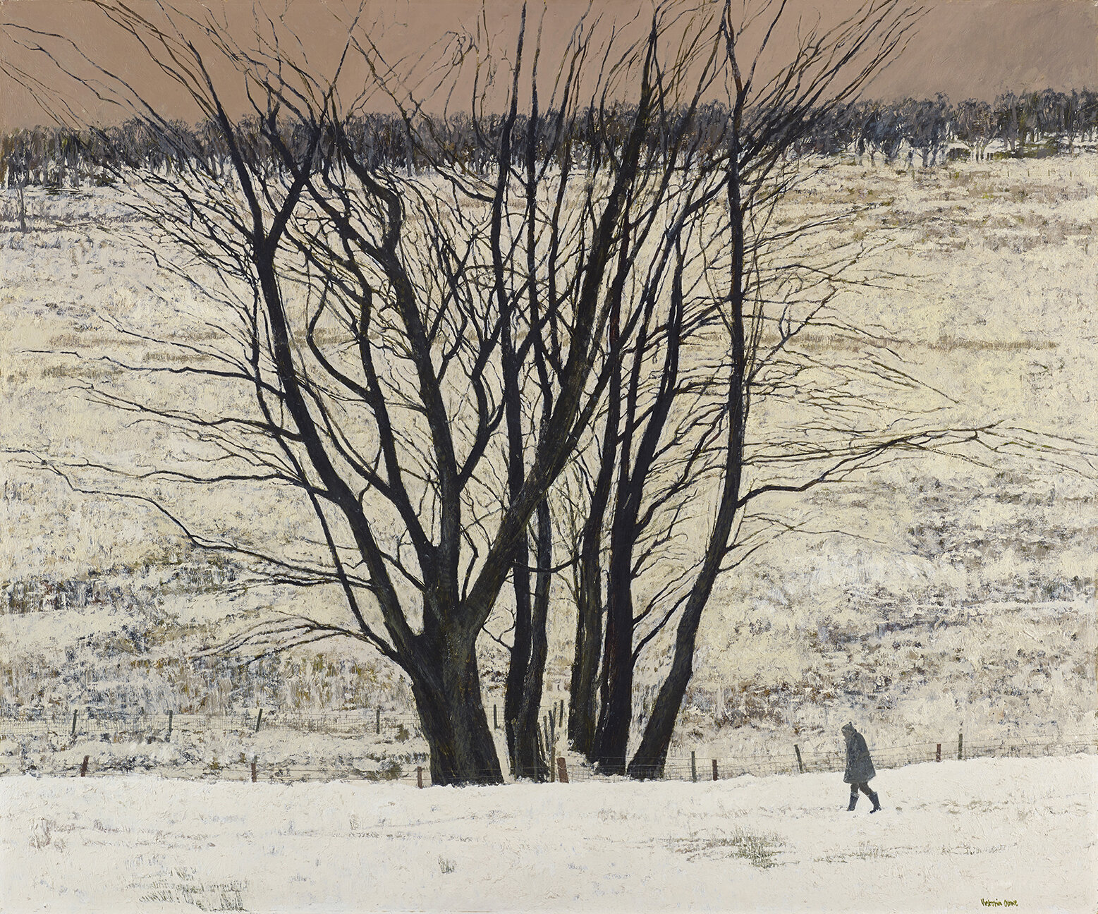 NGS Large Tree Group_web.jpg