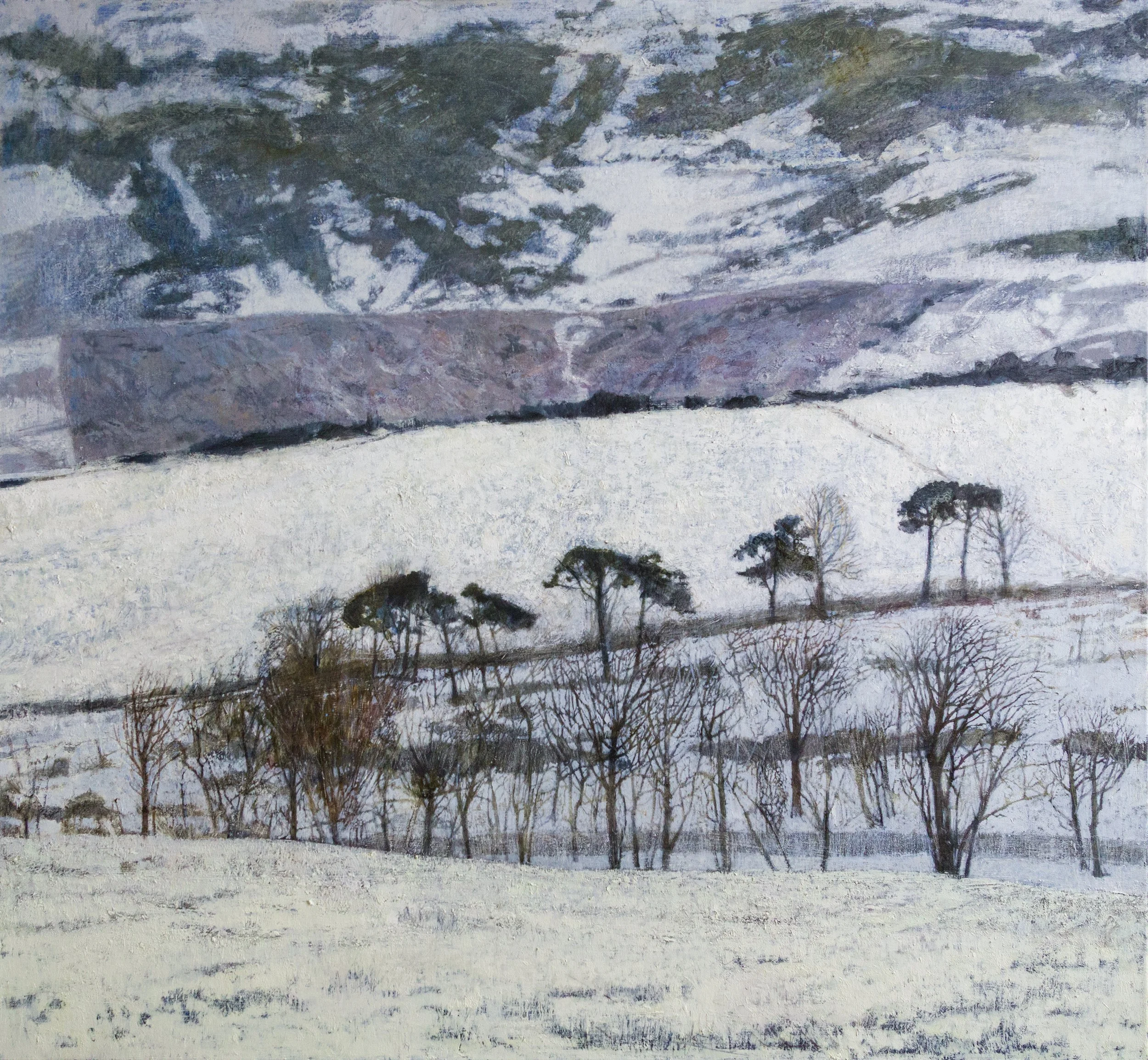 The Silence of Winter, 2025