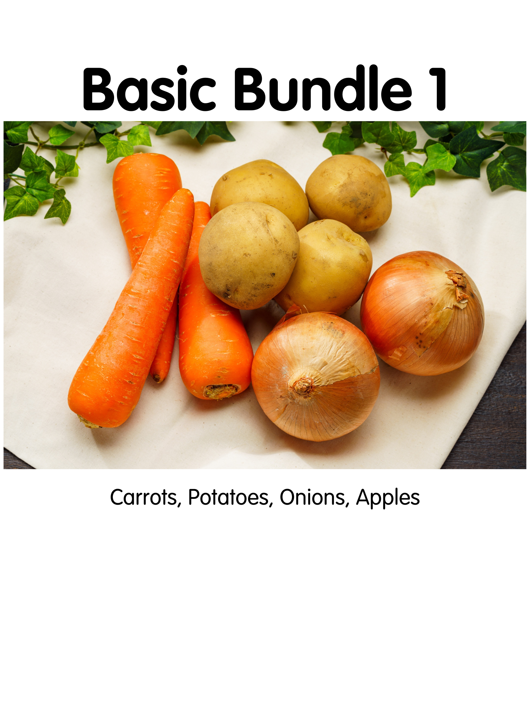 Basic Bundle 1.png