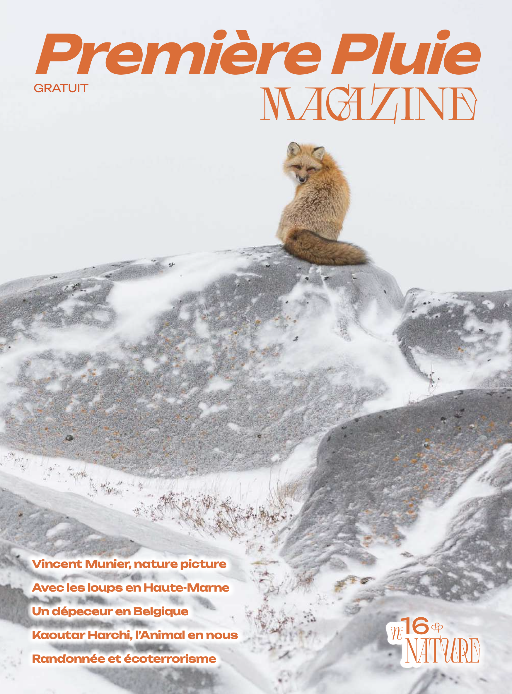 Capture d’écran 2026-01-20 à 15.54.50.png