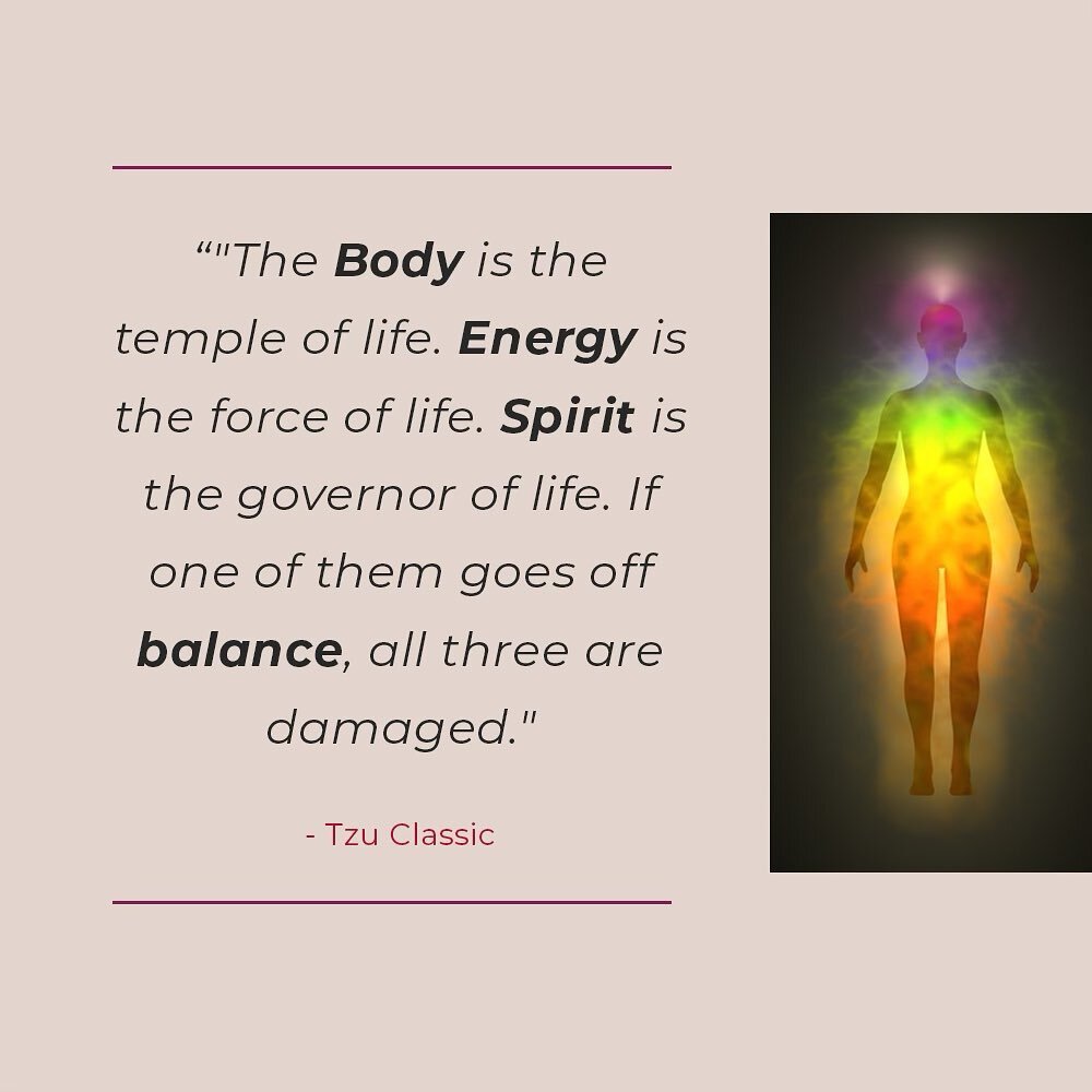 Join Dr. Nancy Werner and I for our annual San Baio: The Three Treasures Course. We will be teaching live in Denver, Colorado October 13 - 15, 2023 (or you can join us live online!).

In this course you will learn to balance the 3 treasures: The Body