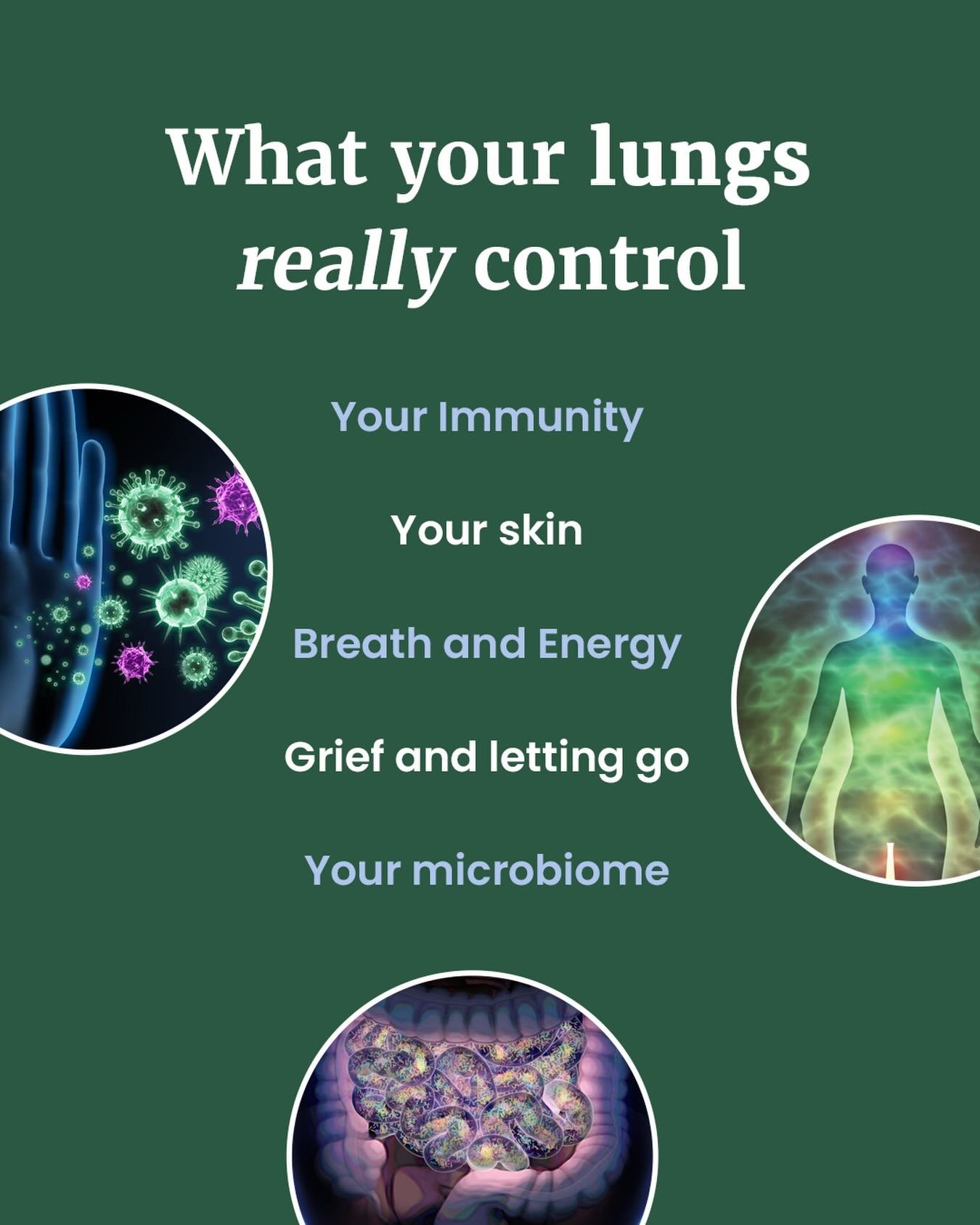 In Chinese medicine, your lungs do far more than help you breathe. 

They govern what we call Wei Qi, your body&rsquo;s protective shield against colds, wind, and whatever the season throws at you. 

They&rsquo;re tied to your skin, your energy, and 
