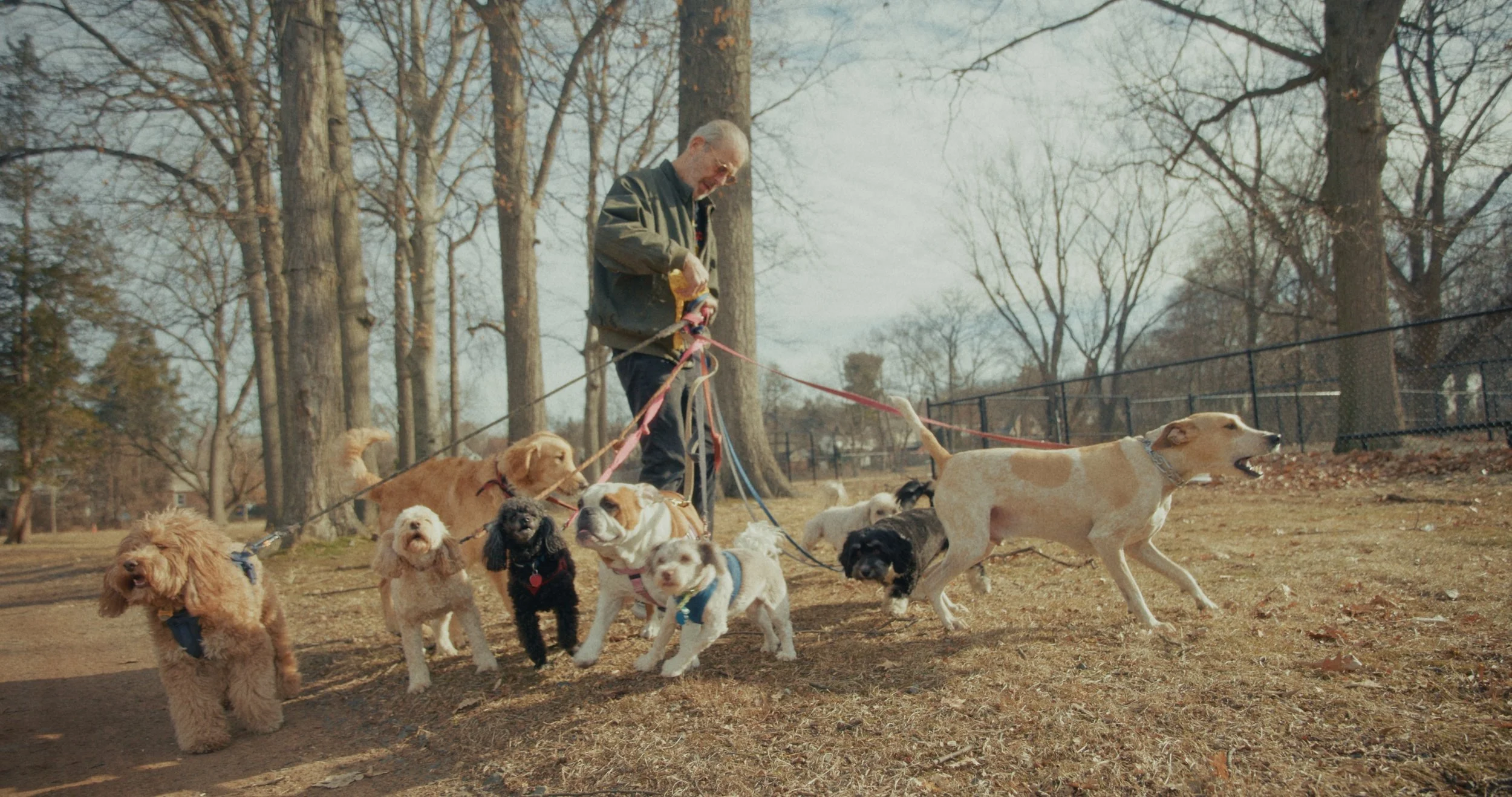 The Dog King of the Upper East Side (Director and Producer); Winner of the Brooklyn International Short Festival for Best Documentary, the NY Short Cinema Award for Best Cinematography, and SHORT to the Point's Best Documentary category. 