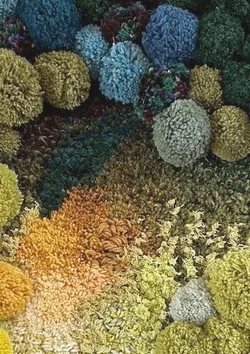 Olive's Forest Floor Detail