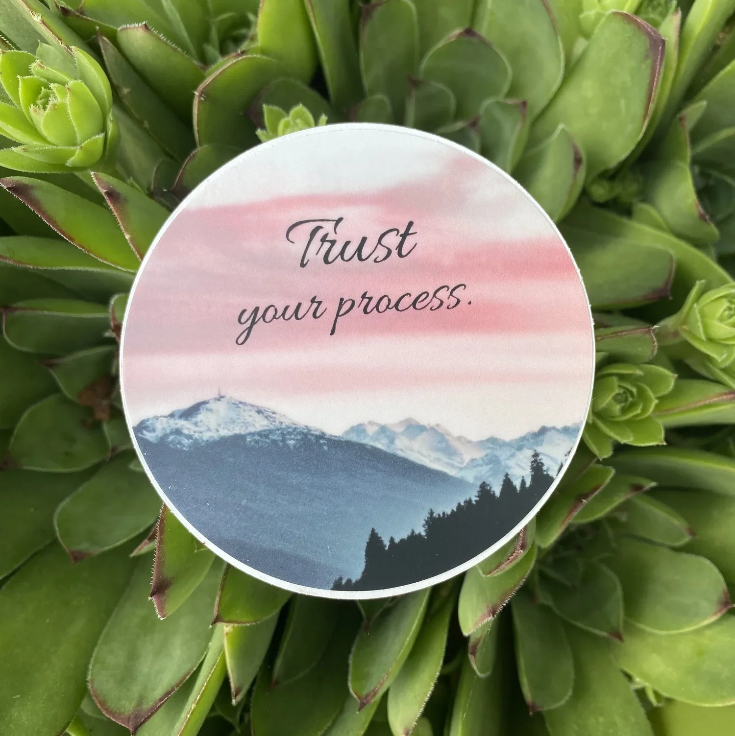 Sticker: Trust Your Process - A daily nudge to honor your journey, embrace the unfolding, and stay rooted in your own becoming.