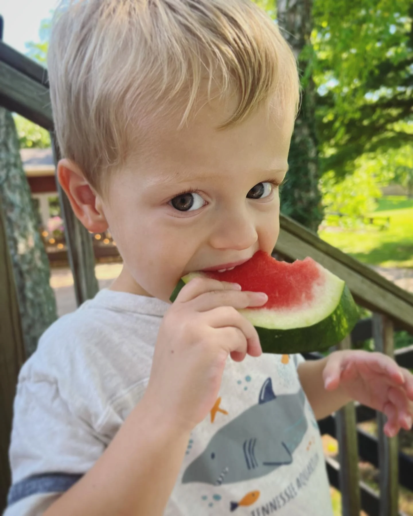 Me: Buddy, who made you so cute?
H: Daddy 😁
&hellip;😂