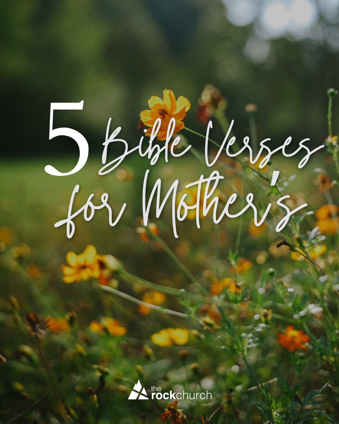 As we approach Mother's Day, we want to take this week to reflect and appreciate all that our mothers / mother figures do for us each and every day ☺️💐 

Although some tasks seem "ordinary" when you do them, such as packing lunches, doing 