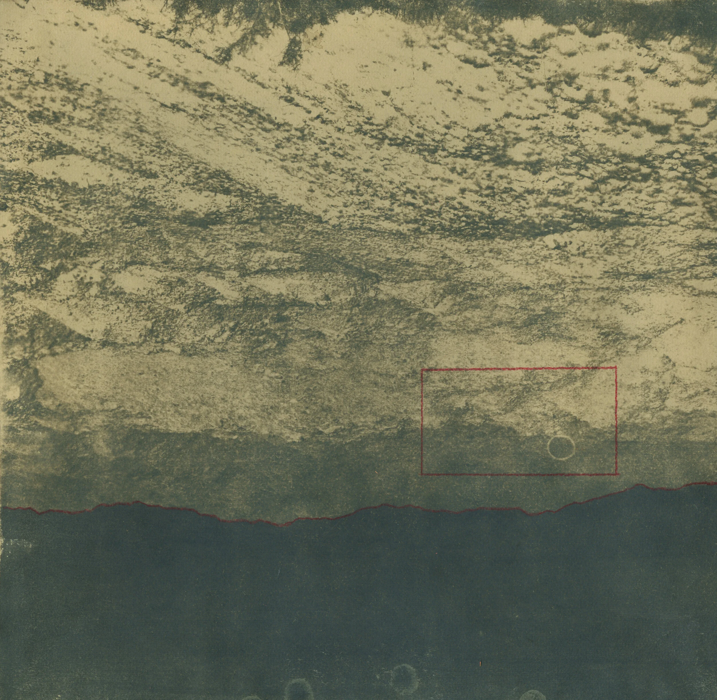 Cyanotype_Detail_4.jpg