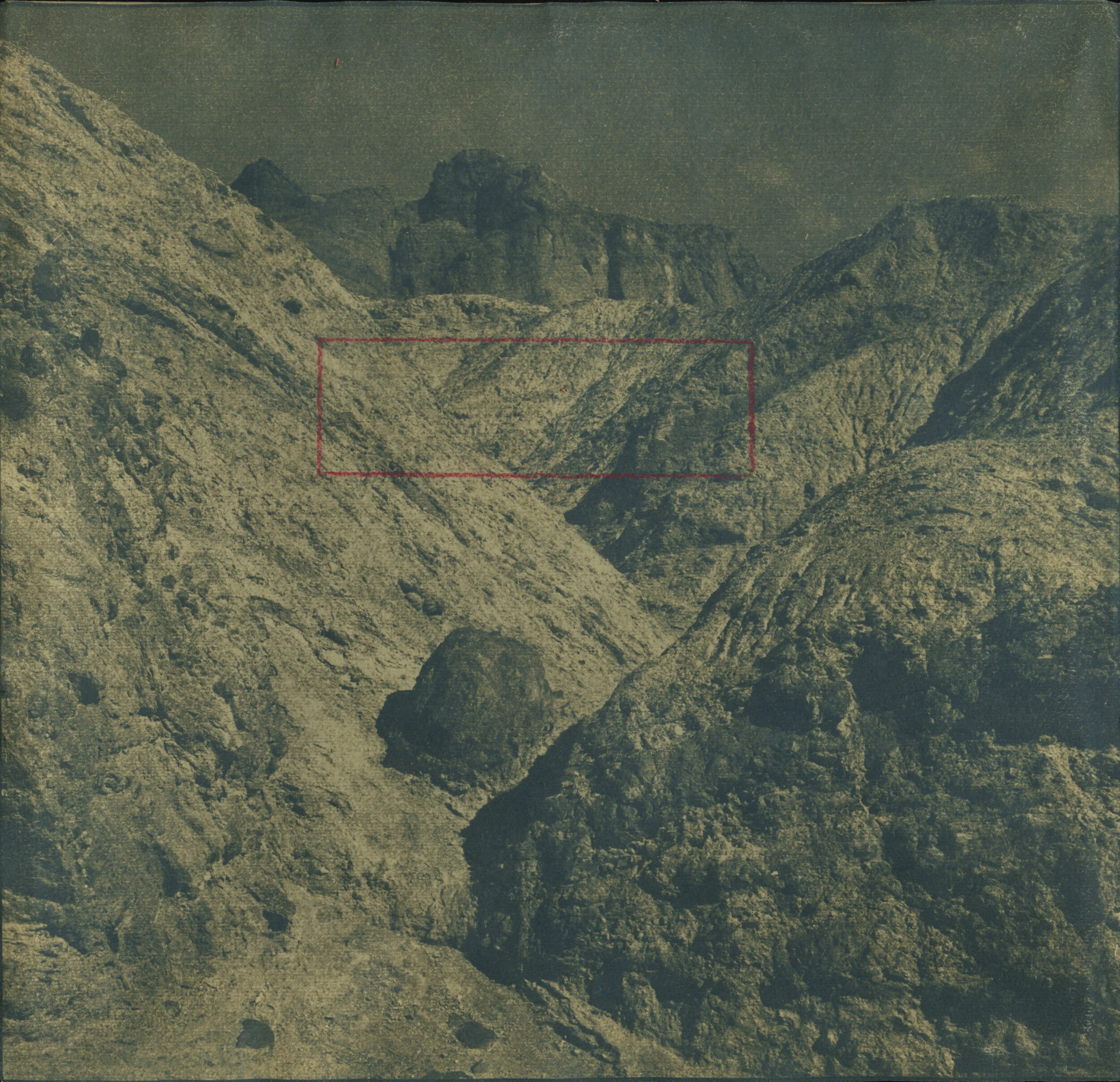 Cyanotype_Detail_6.jpg