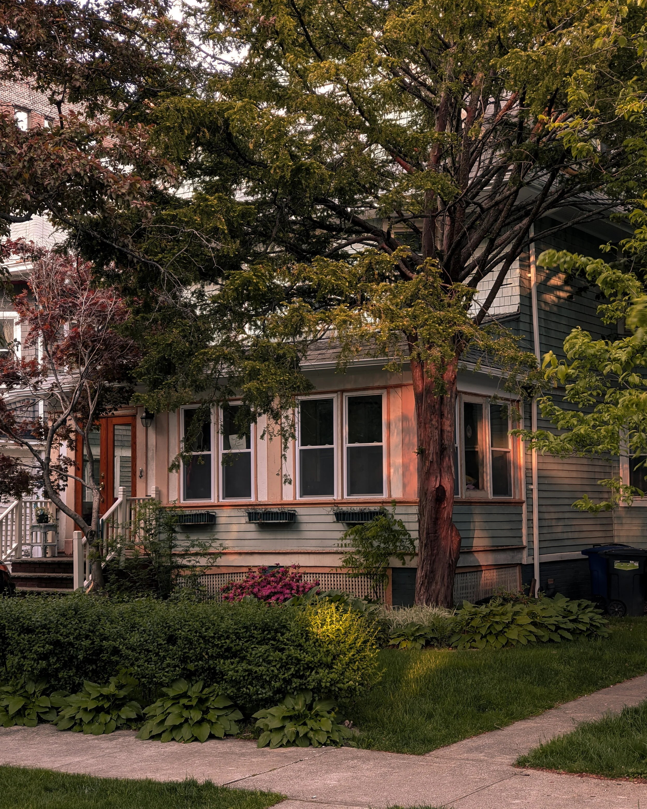 VP Real Estate
