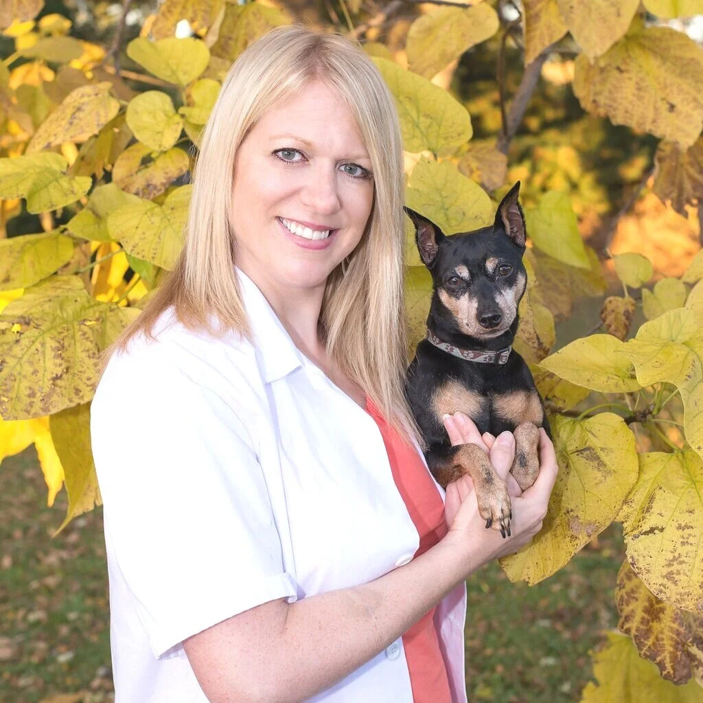 Team 1 — West County Animal Clinic