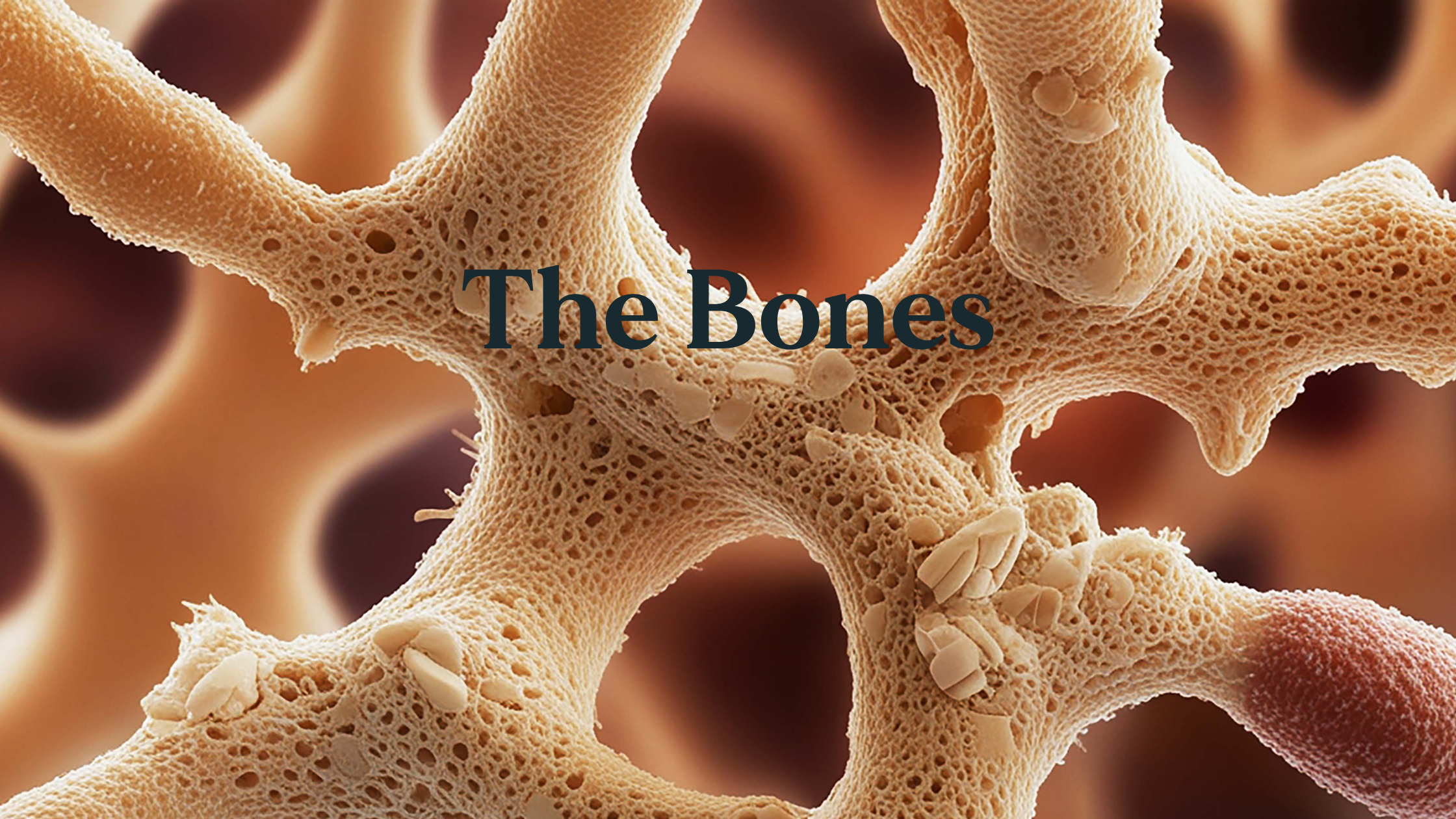 The Bones