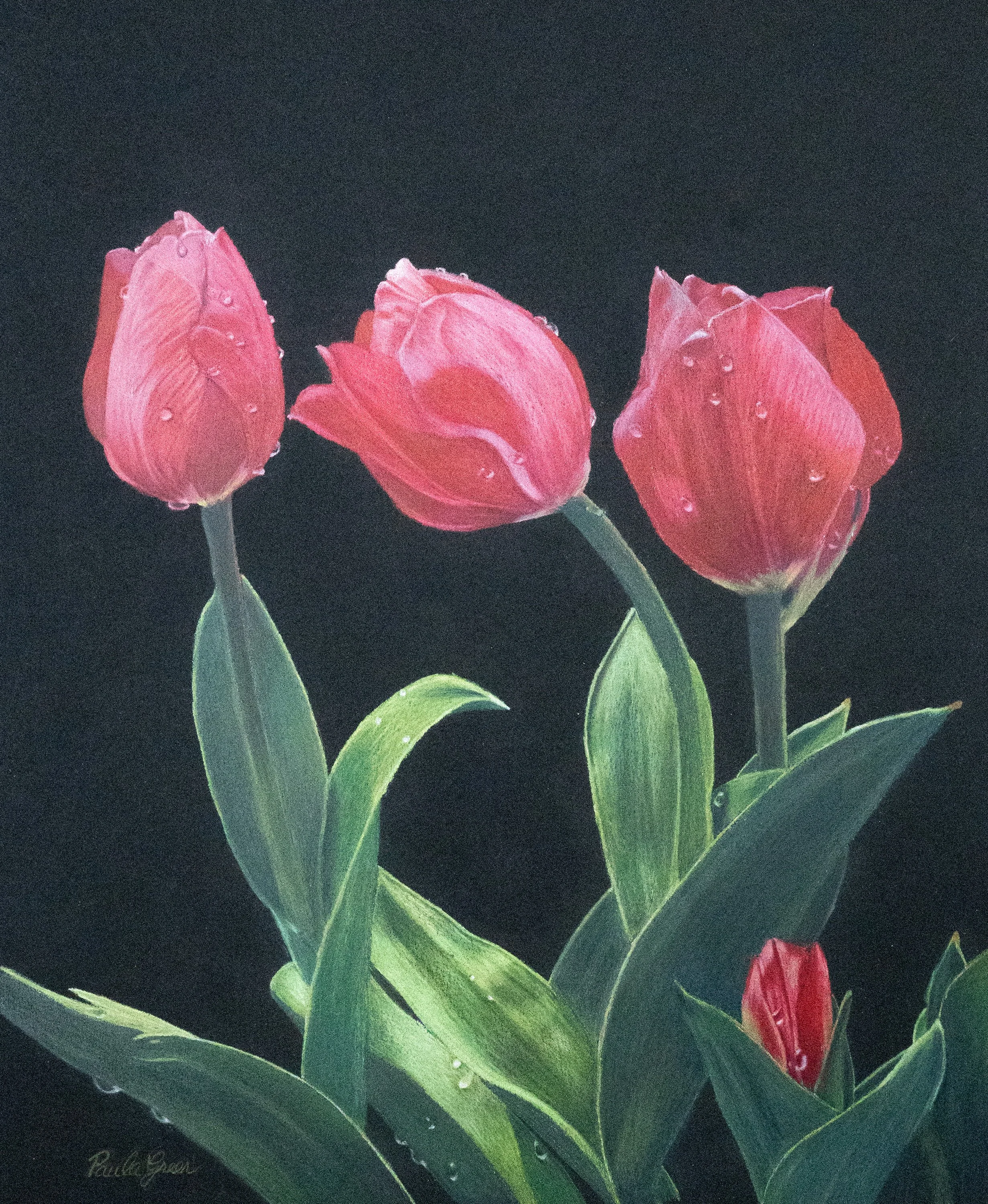 HM - Paula Greer - Sisters in Red