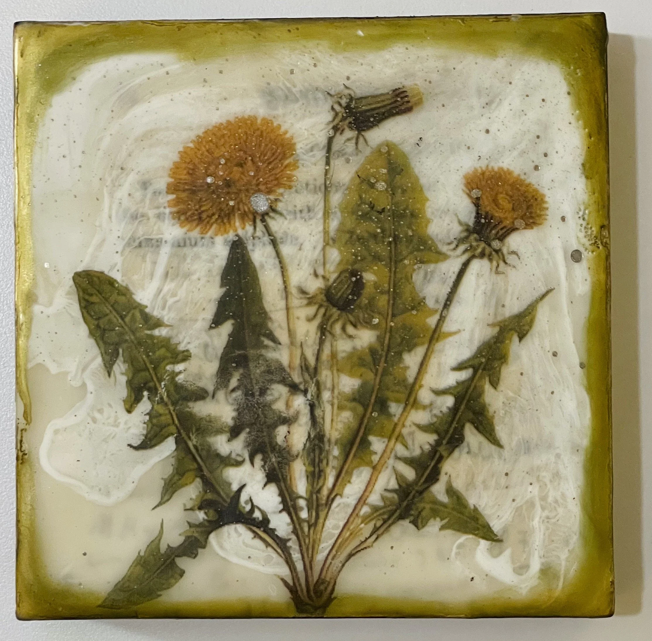 Shannon Amidon