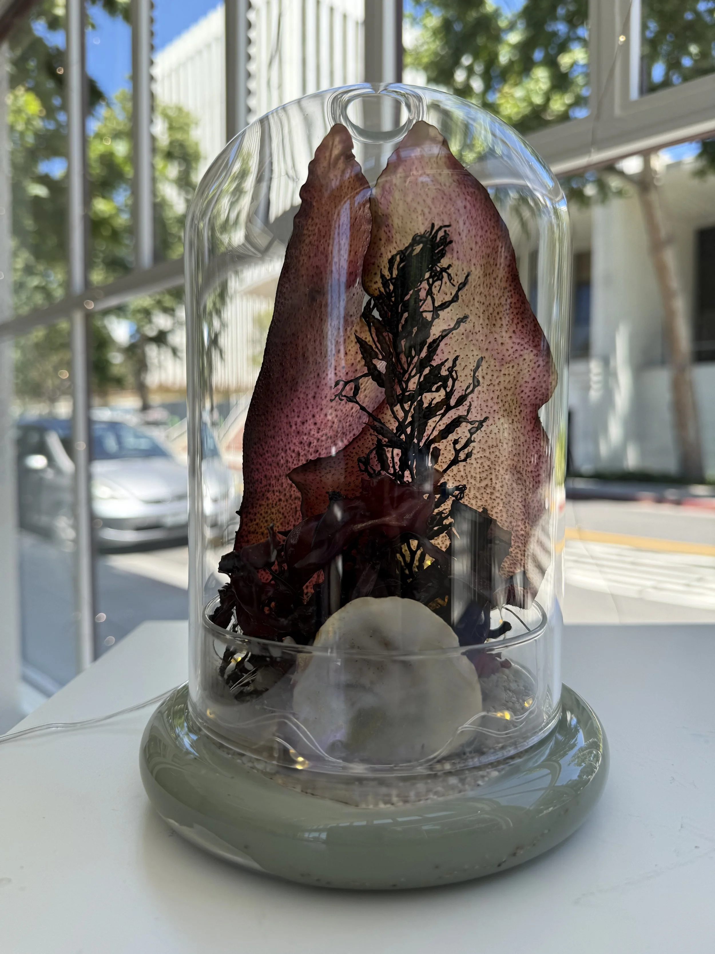 (Davenport Landing Tide, Artist: Chela Noto) I spent a lot of time at the
beach as a kid collecting
little mysterious treasures,
and this piece captures that
sense of wonder I felt
whenever I found something
new to add to my collection. (Staff Select