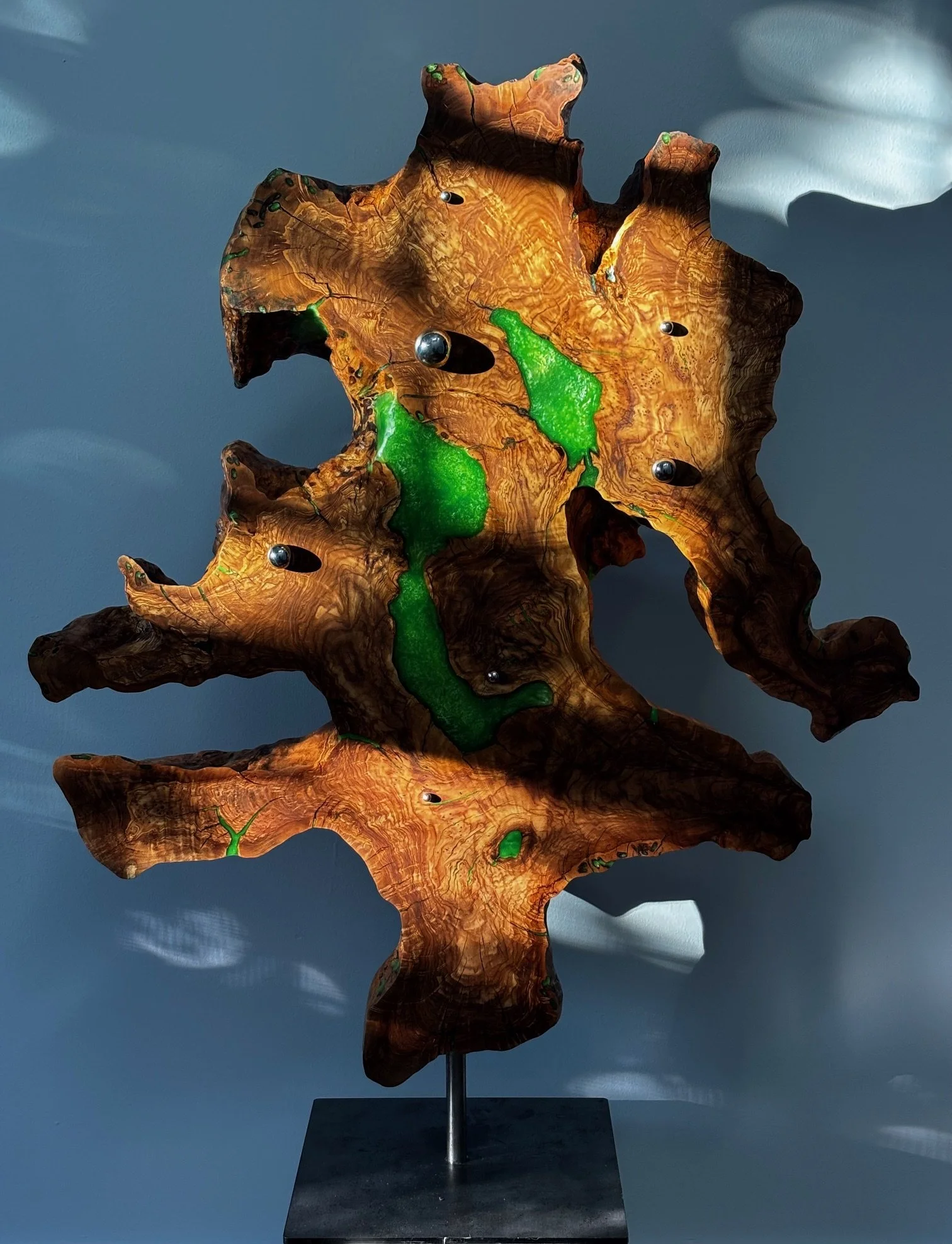 (Tree of Life, Robert Bakin) At first, the piece feels irregular
and almost chaotic, but knowing it
is made from natural wood made
me appreciate how those
imperfections are actually part of
nature itself. The olive green
connects the wood back to the