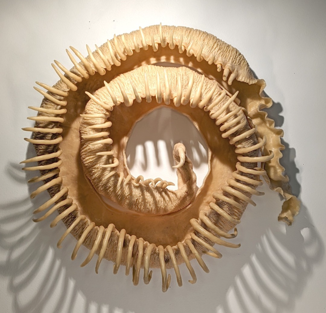 Screen Shot 2024-03-13 at 6.01.01 PM.png