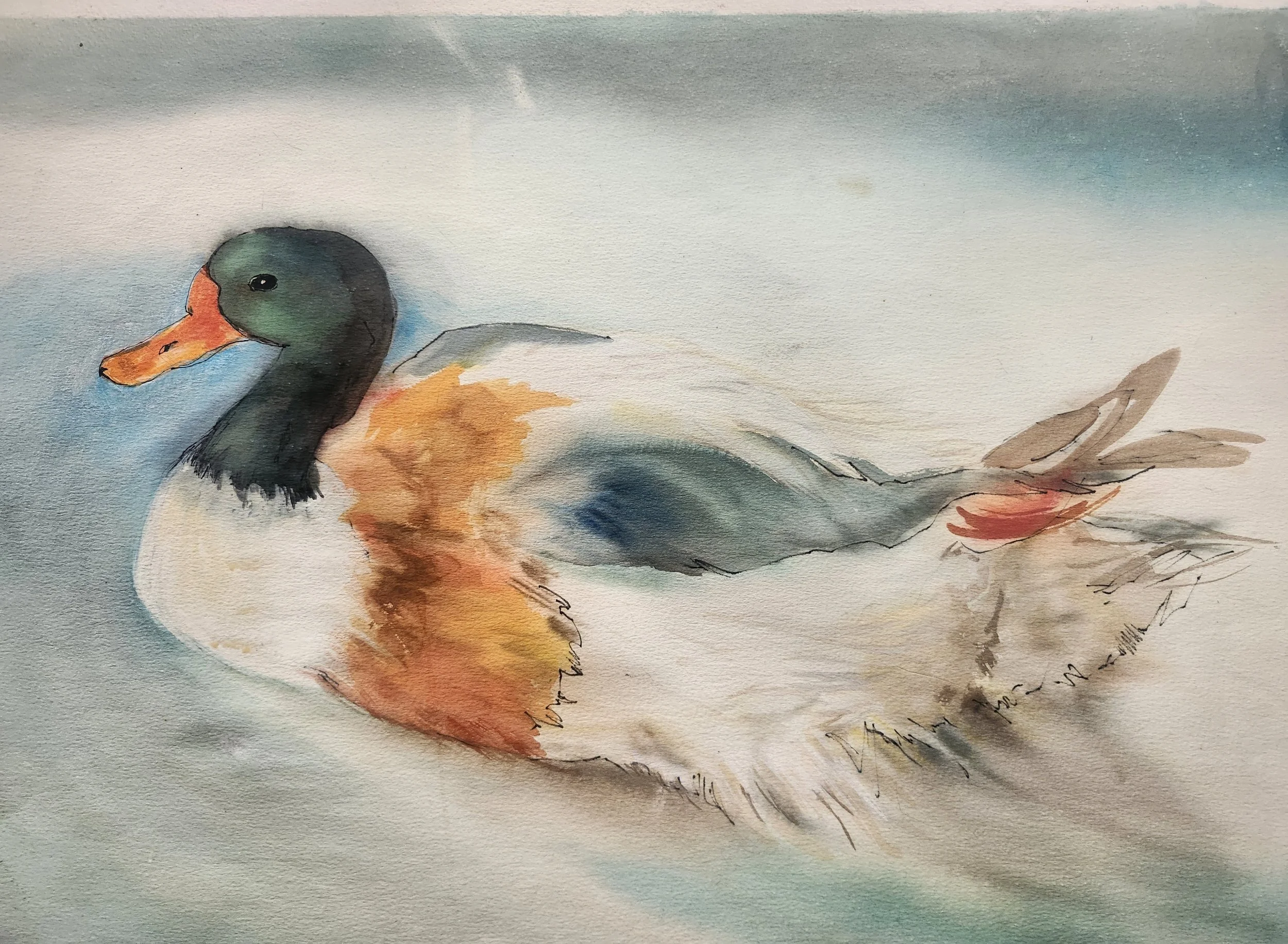 Honorable Mention - Carmen Lax - I Love Ducks