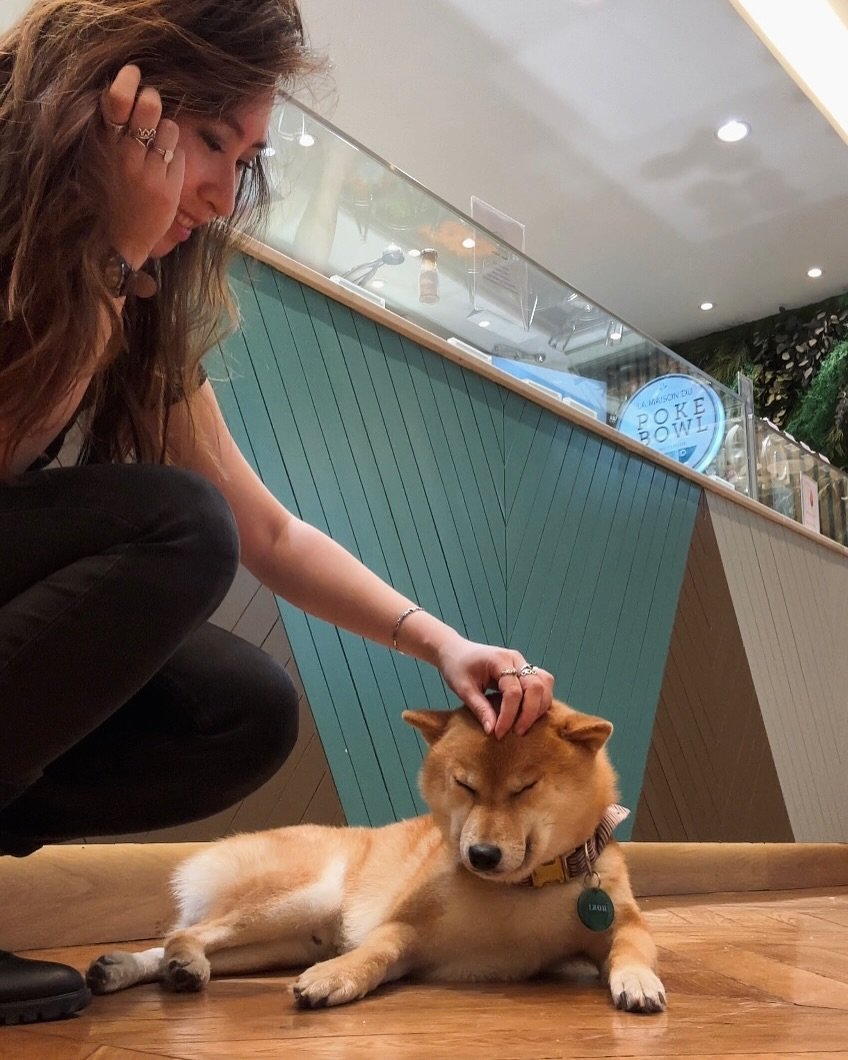 les instants du quotidien 🦊