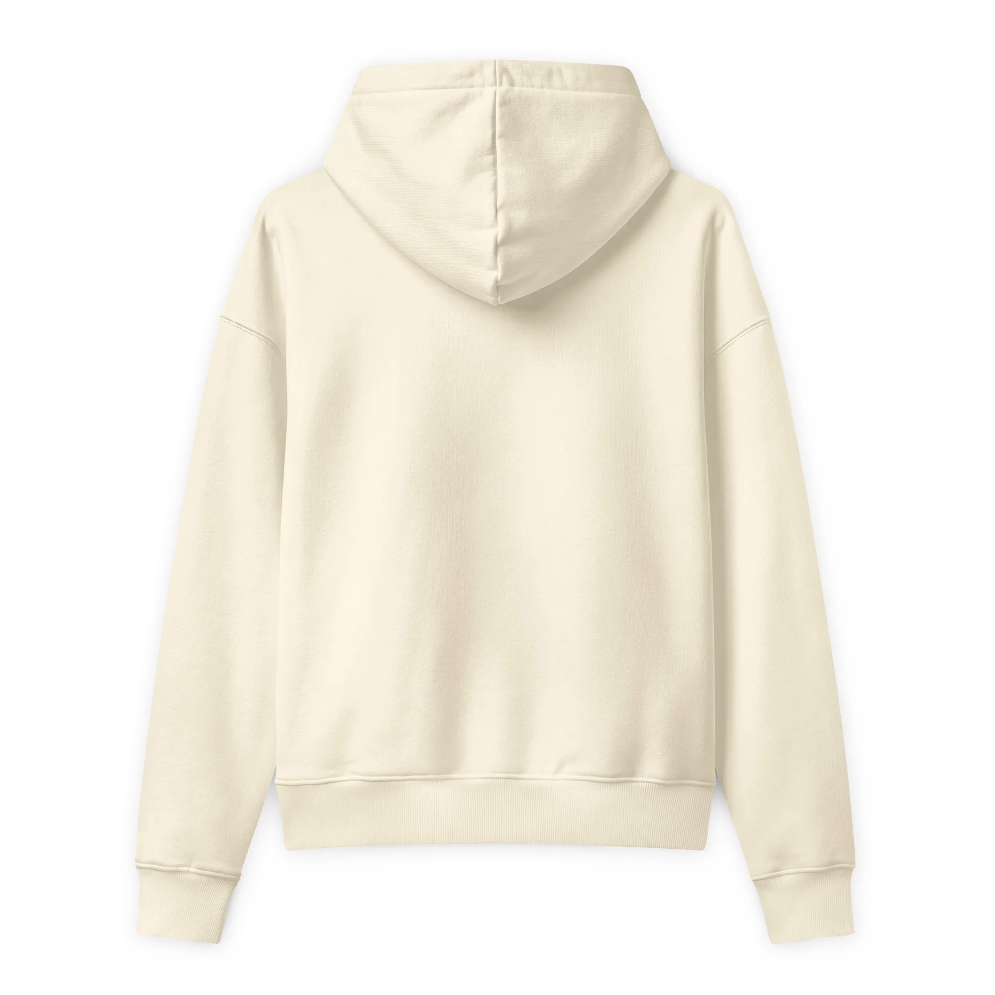 unisex-relaxed-mid-weight-chaser-hooded-sweatshirt-cream-back-6acf1475d3a04.jpg