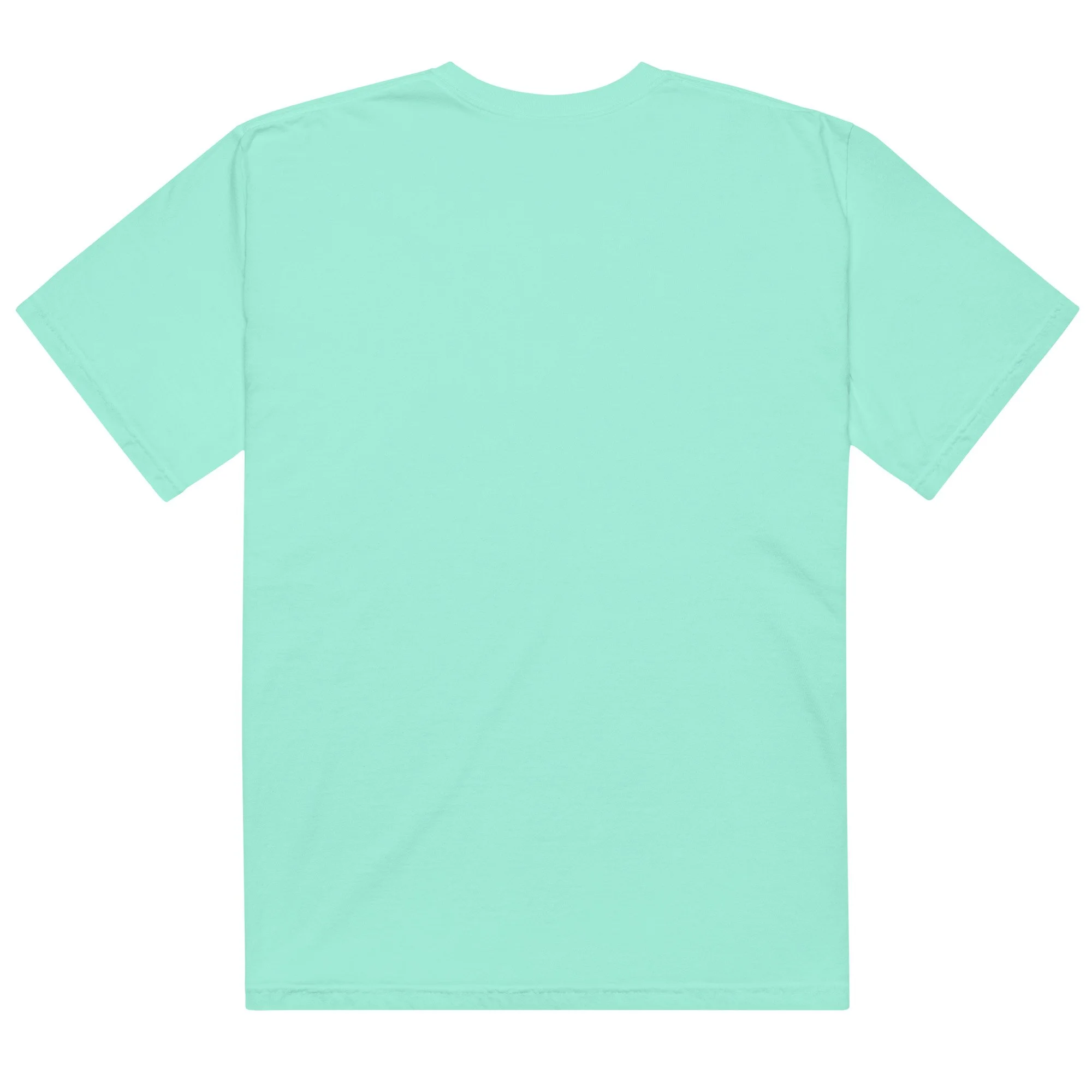 unisex-garment-dyed-heavyweight-t-shirt-chalky-mint-back-6acee3327fb52.jpg
