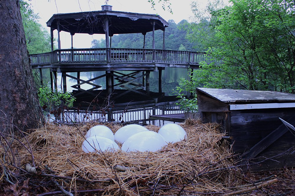 08-Nest.jpg
