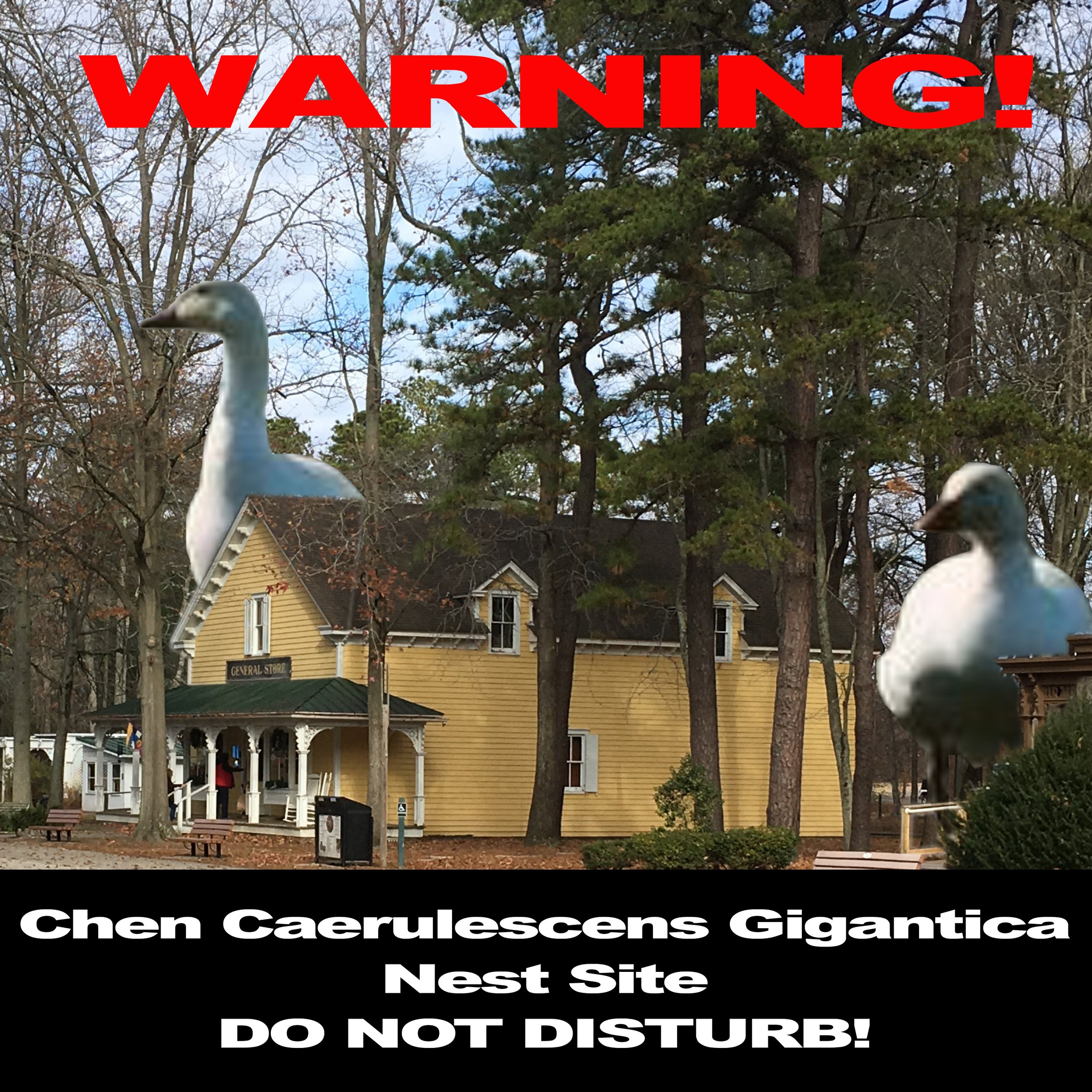 WarningNestSite.jpg
