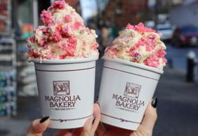 Birds of Prey Partnerships