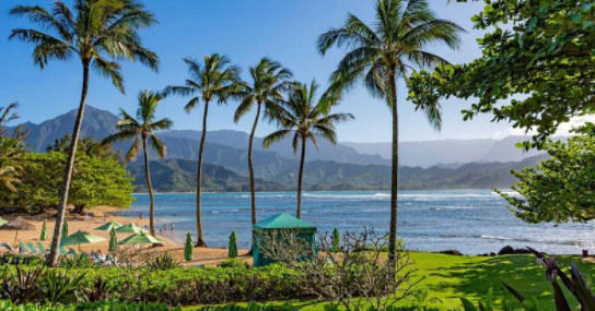 Trend Report 9.22.20