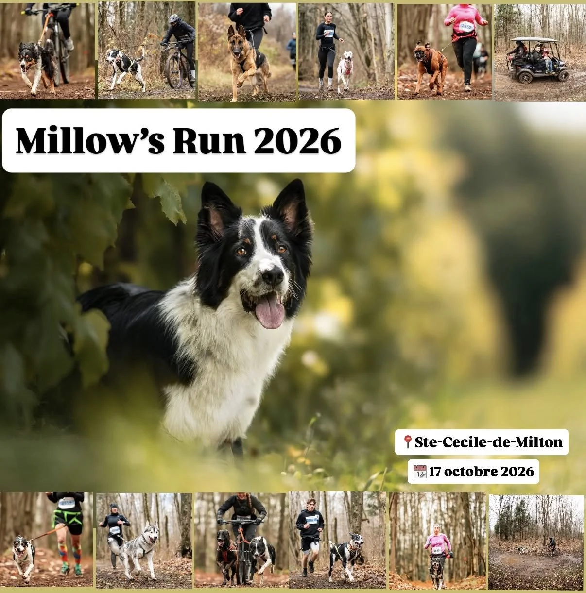 Millow's RUN 2026