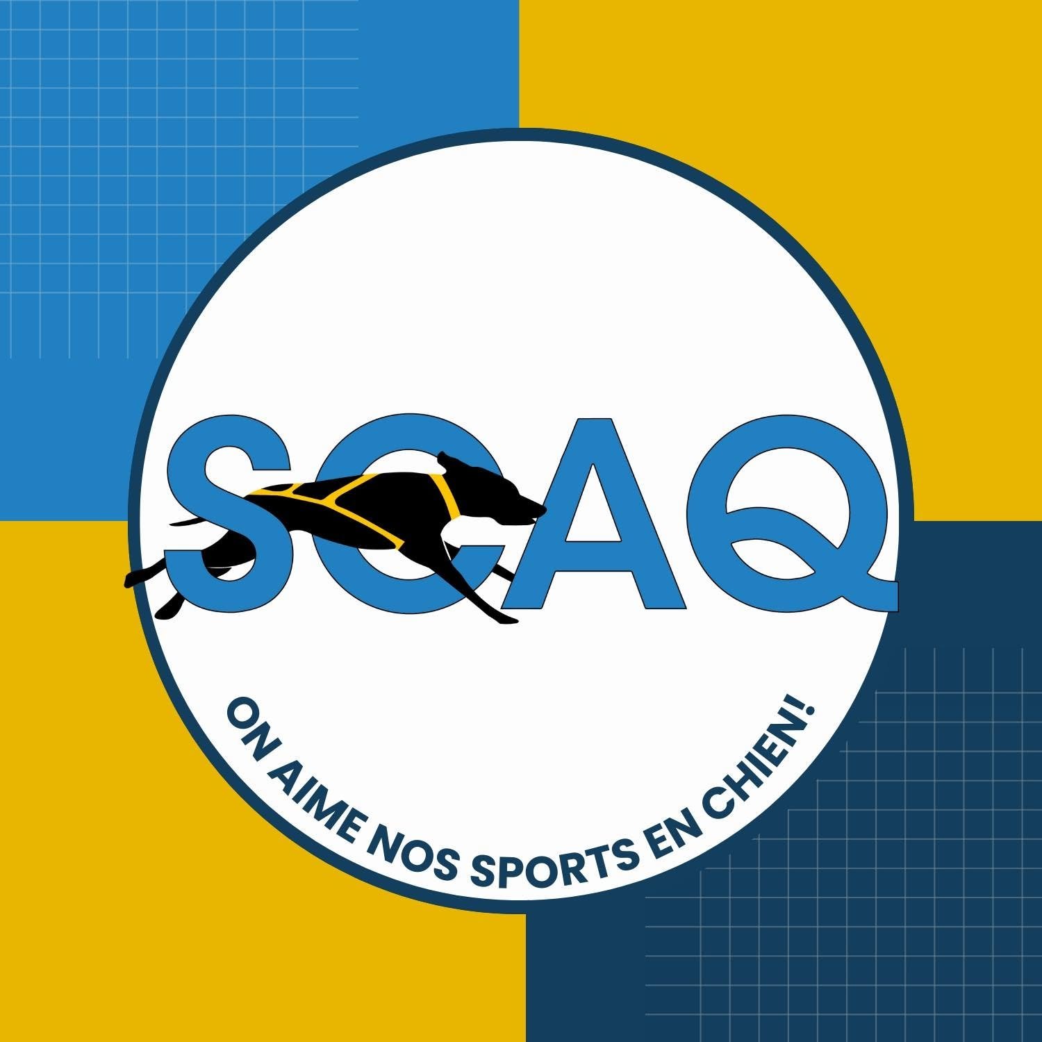 Course d'automne SCAQ 2026