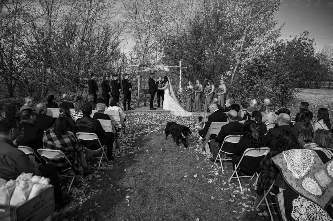 Alberta-Wedding-Elopement-Portrait-Photography-Danielle-Andrew-61.jpg