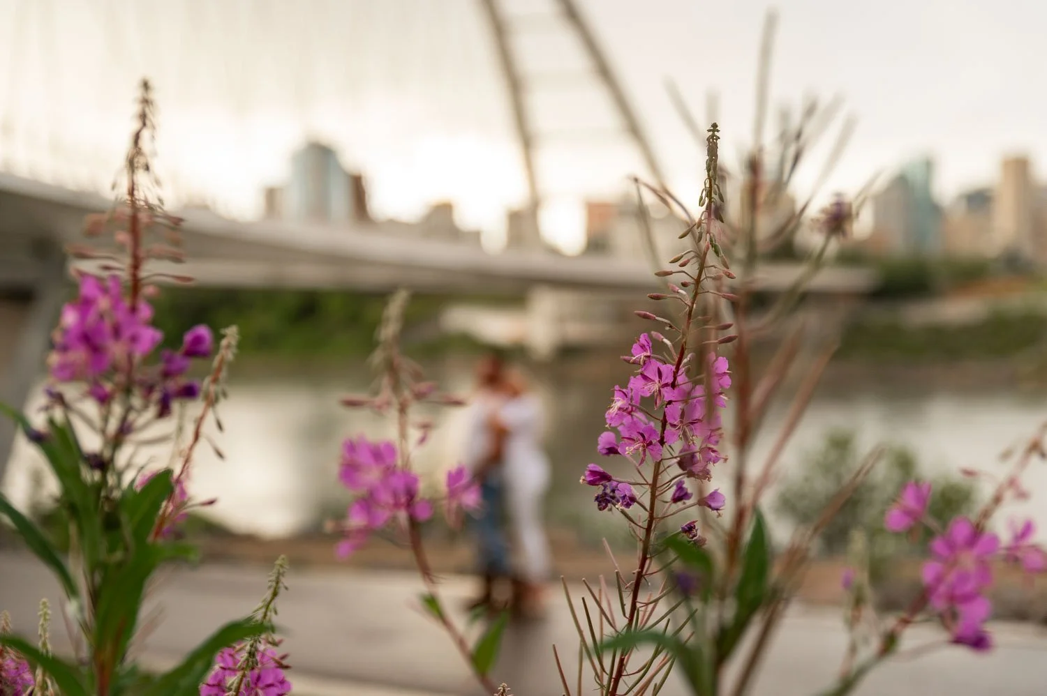 Alberta-Wedding-Elopement-Portrait-Photography-Whyte-Avenue-Walterdale-Bridge-Silvi-Brody-97.jpg