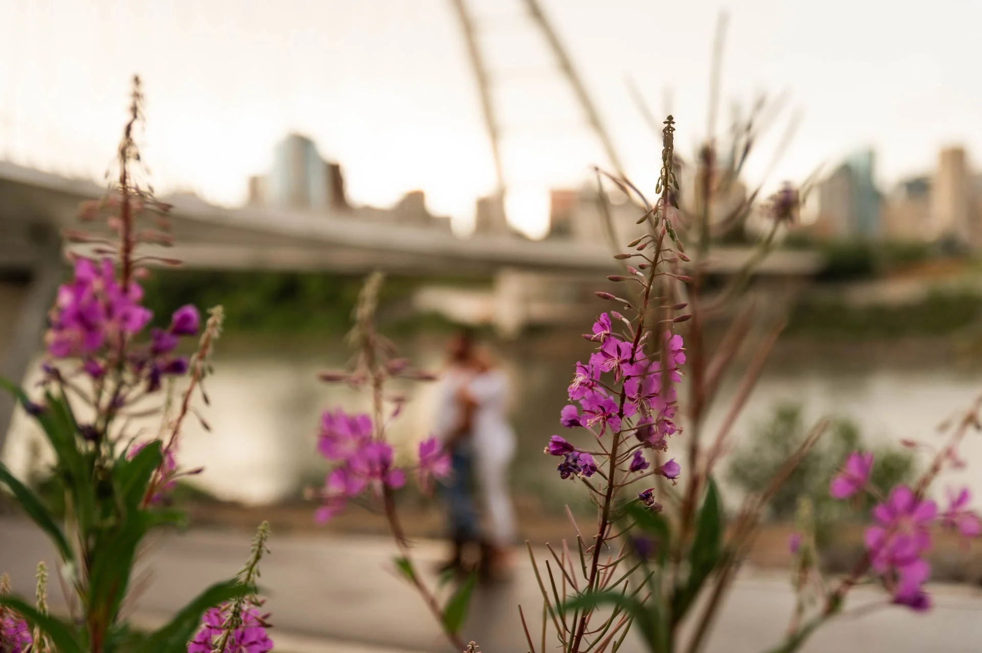 Edmonton-Alberta-Wedding-Engagement-Portrait-Elopement-Photographer-Whyte-Avenue-Walterdale-Bridge-Silvi-Brodie-89.jpg