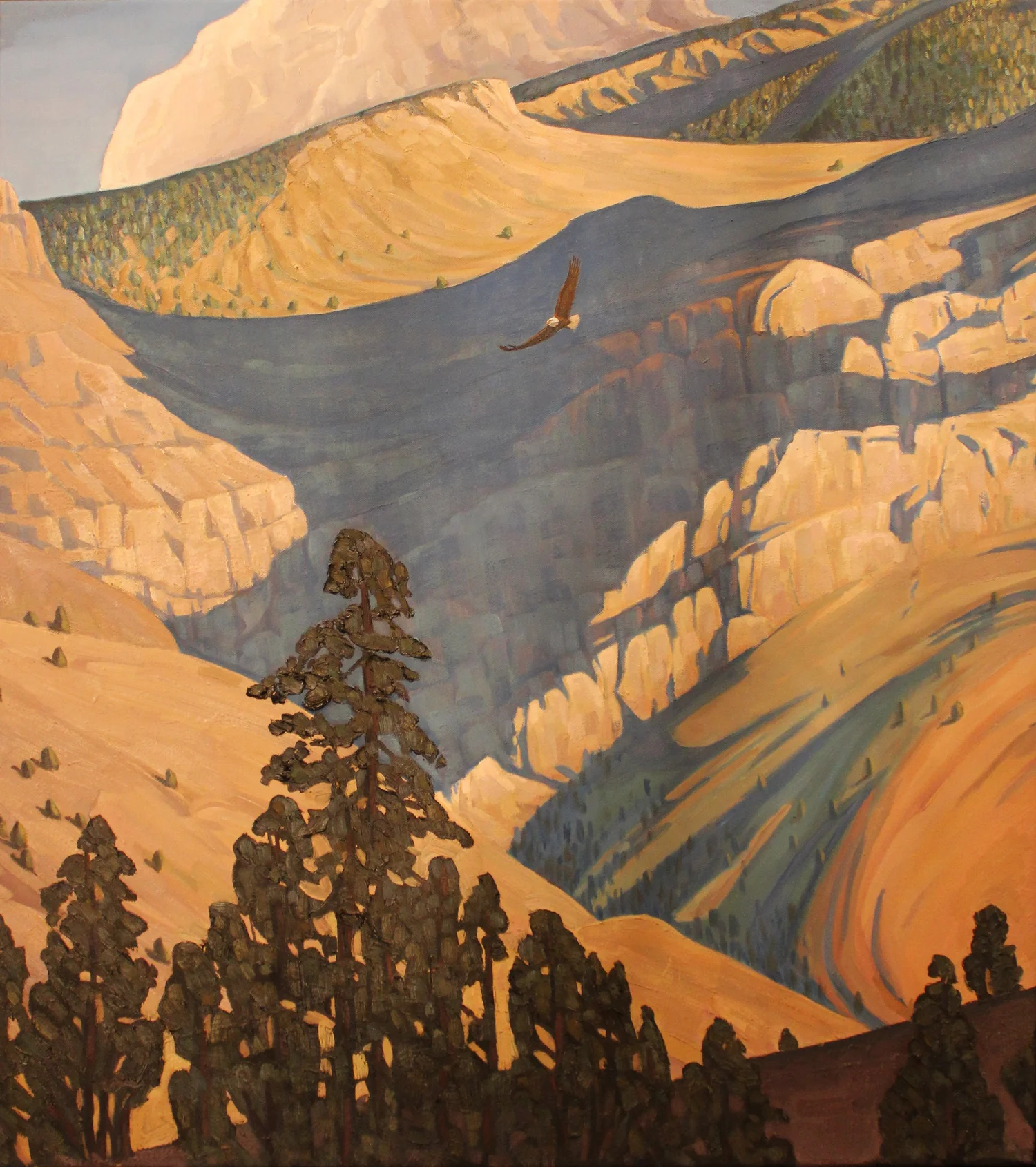 Feathering the Updrafts — The Art of the Animal