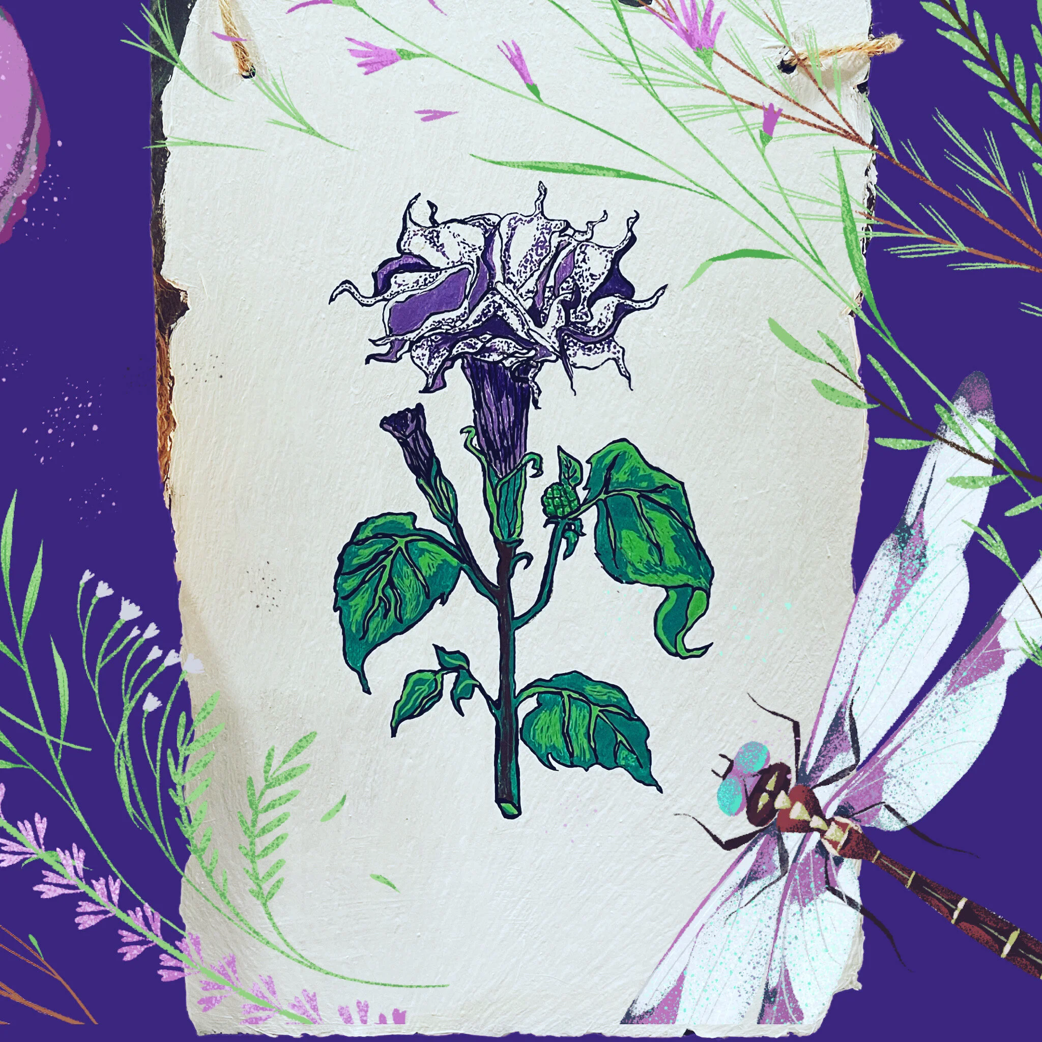 An artistic illustration of a flowering plant with purple and green leaves, topped with a cluster of purple and white flowers. The background is decorated with green grasses and purple flowers, and a detailed purple and white dragonfly is visible on 
