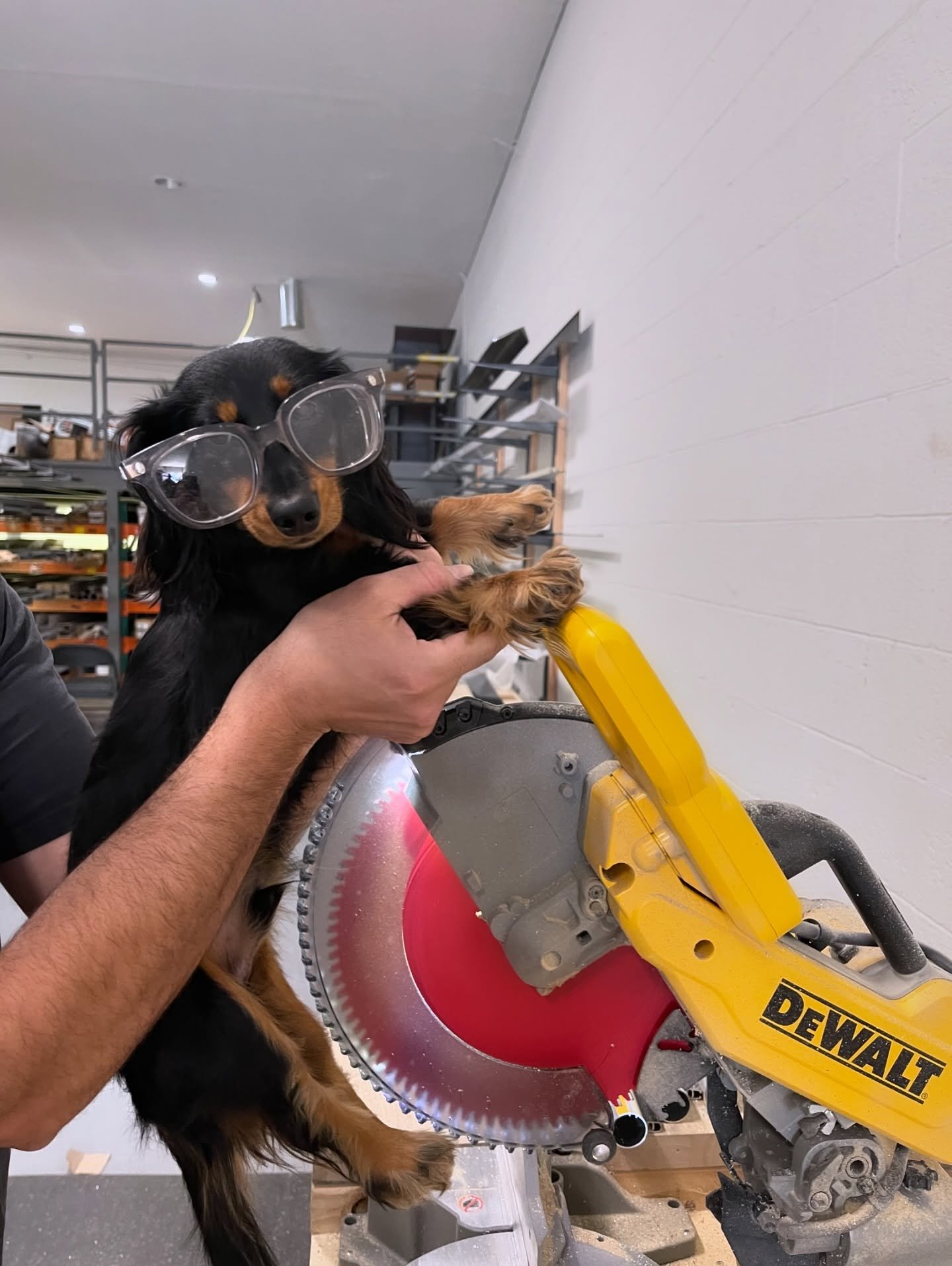 🌟Employee Spotlight🌟

Meet Beans&mdash; the most loyal (and cutest) member of our team. As our official office dog, Beans specializes in greeting clients and delivery drivers. It&rsquo;s safe to say the office wouldn&rsquo;t be the same without him